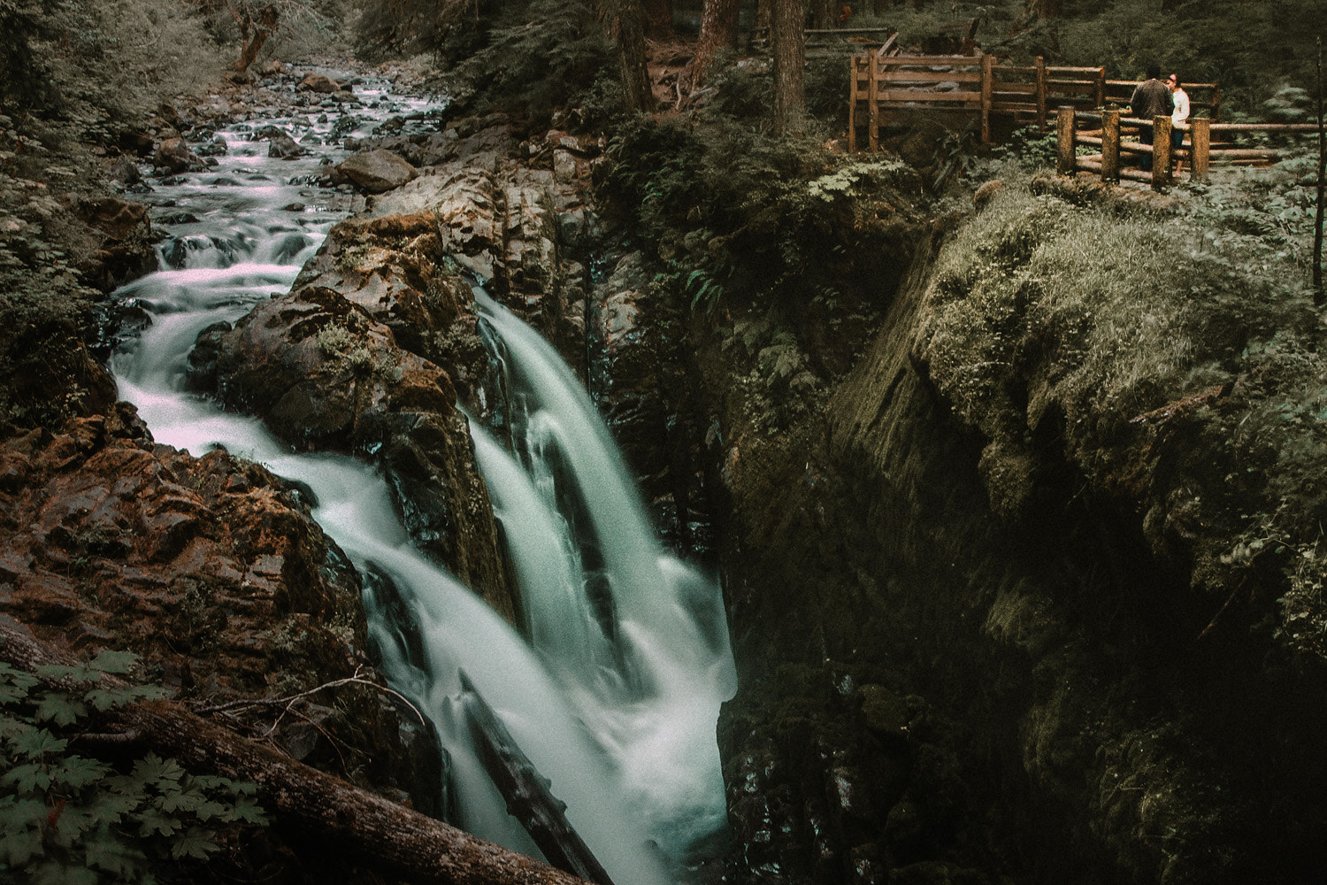 Canon EF 16-35mm F2.8L II USM sample photo. Sol duc falls photography