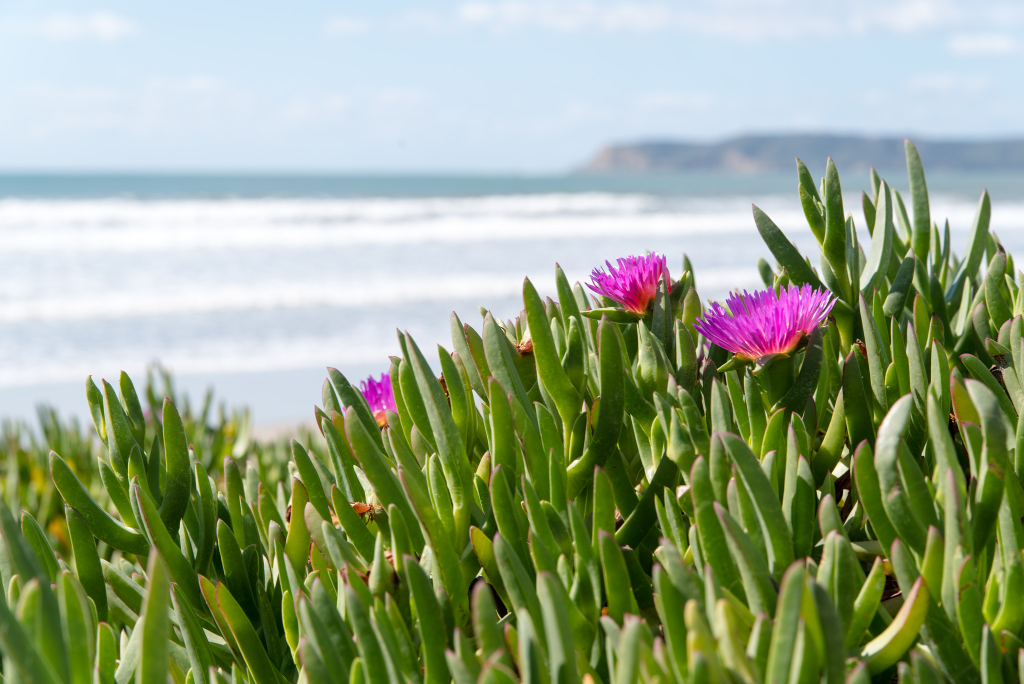 Pentax K-1 sample photo. On the beach... photography