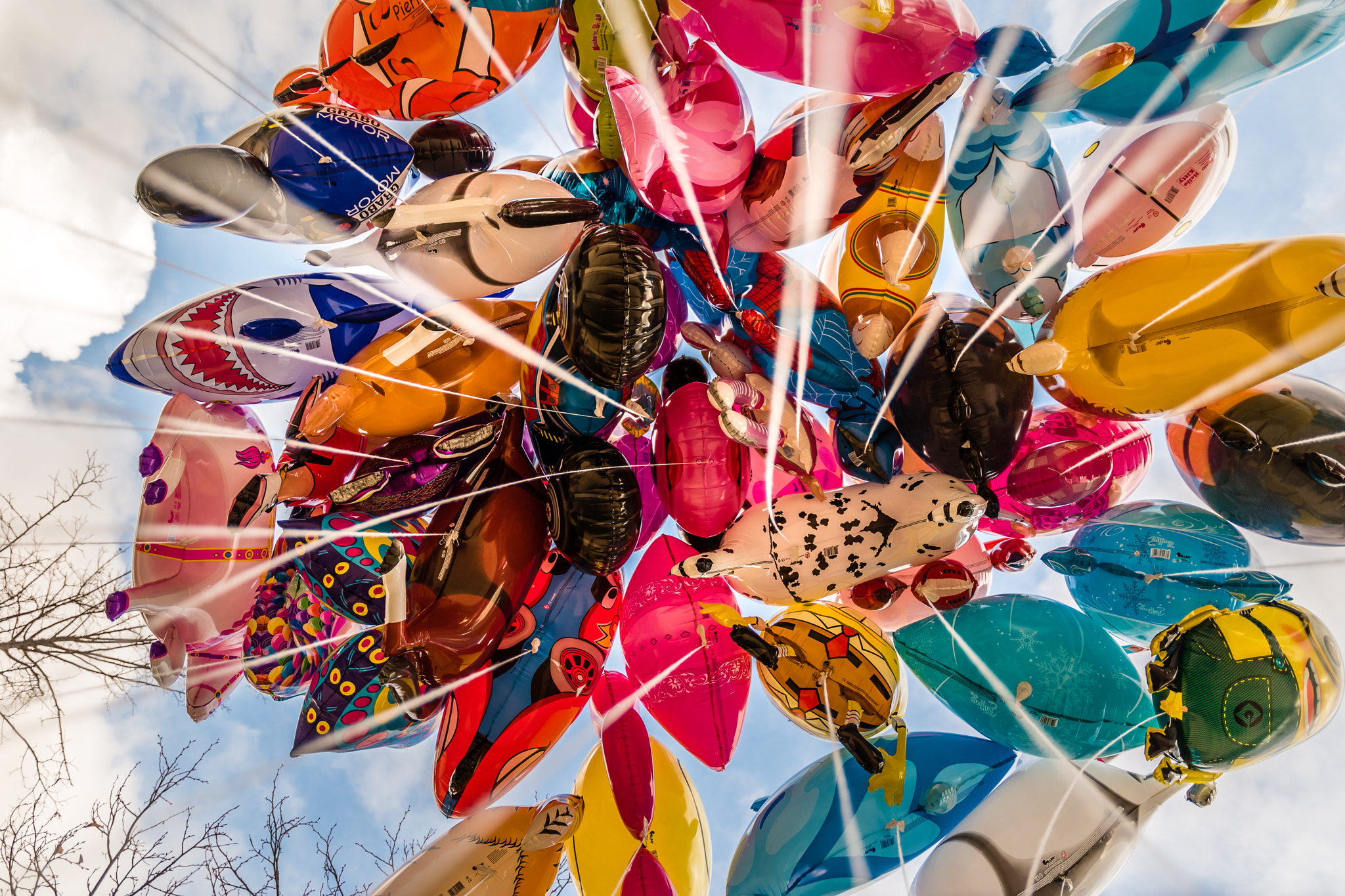 Nikon D5600 + Nikon AF-S DX Nikkor 16-80mm F2.8-4E ED VR sample photo. Floating in the air... looking up at colourful balloons. have a wonderful weekend! photography
