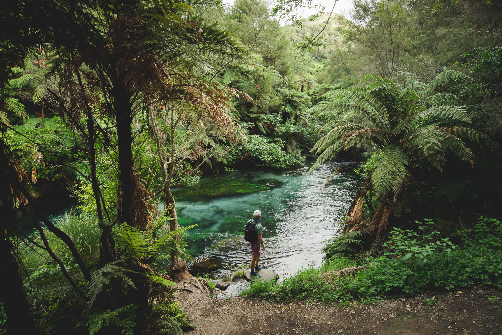 Nikon D810 + Nikon AF-S Nikkor 18-35mm F3.5-4.5G ED sample photo. Blue springs - new zealand photography