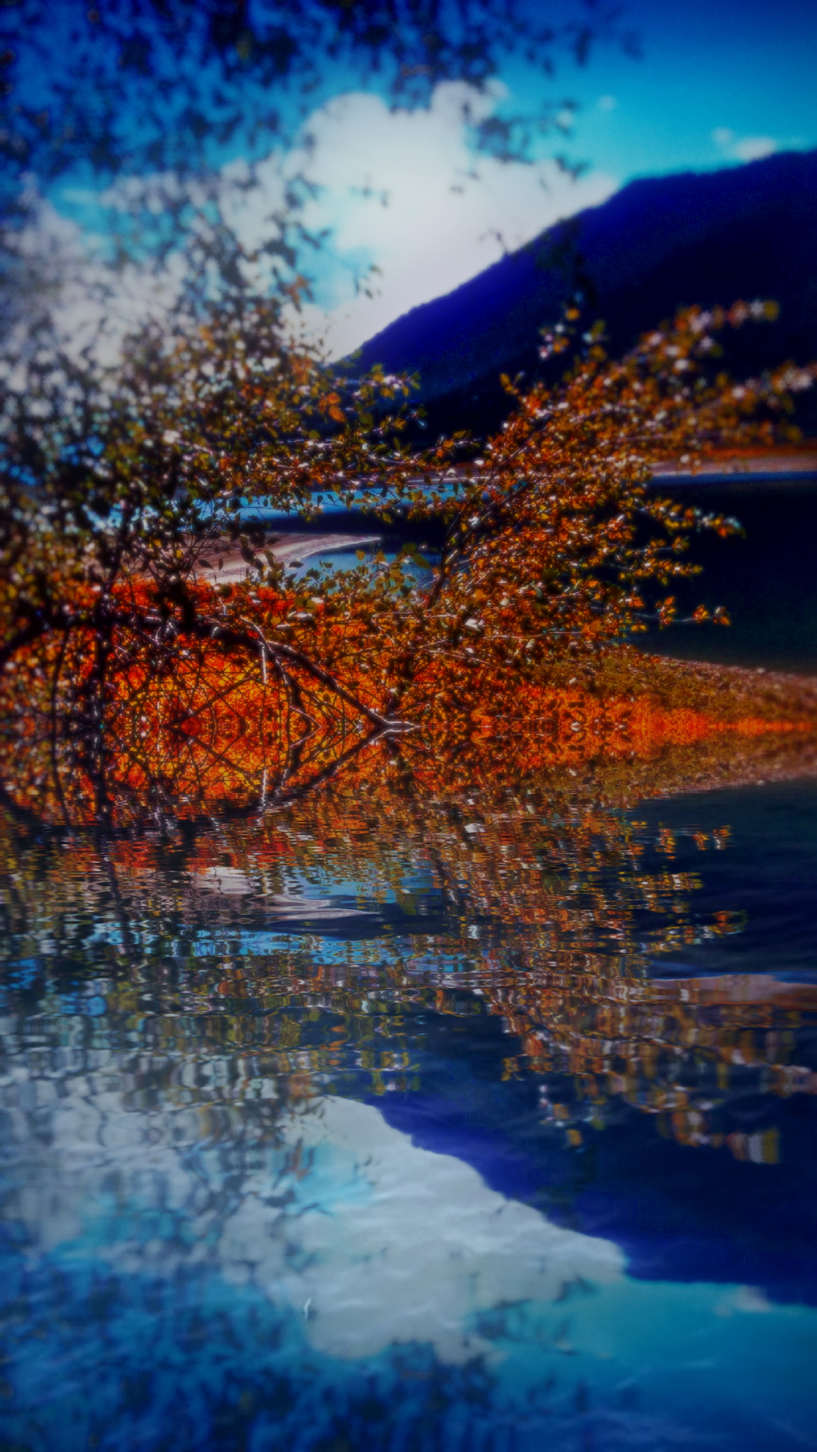 Motorola DROID RAZR HD sample photo. Reflective colors photography
