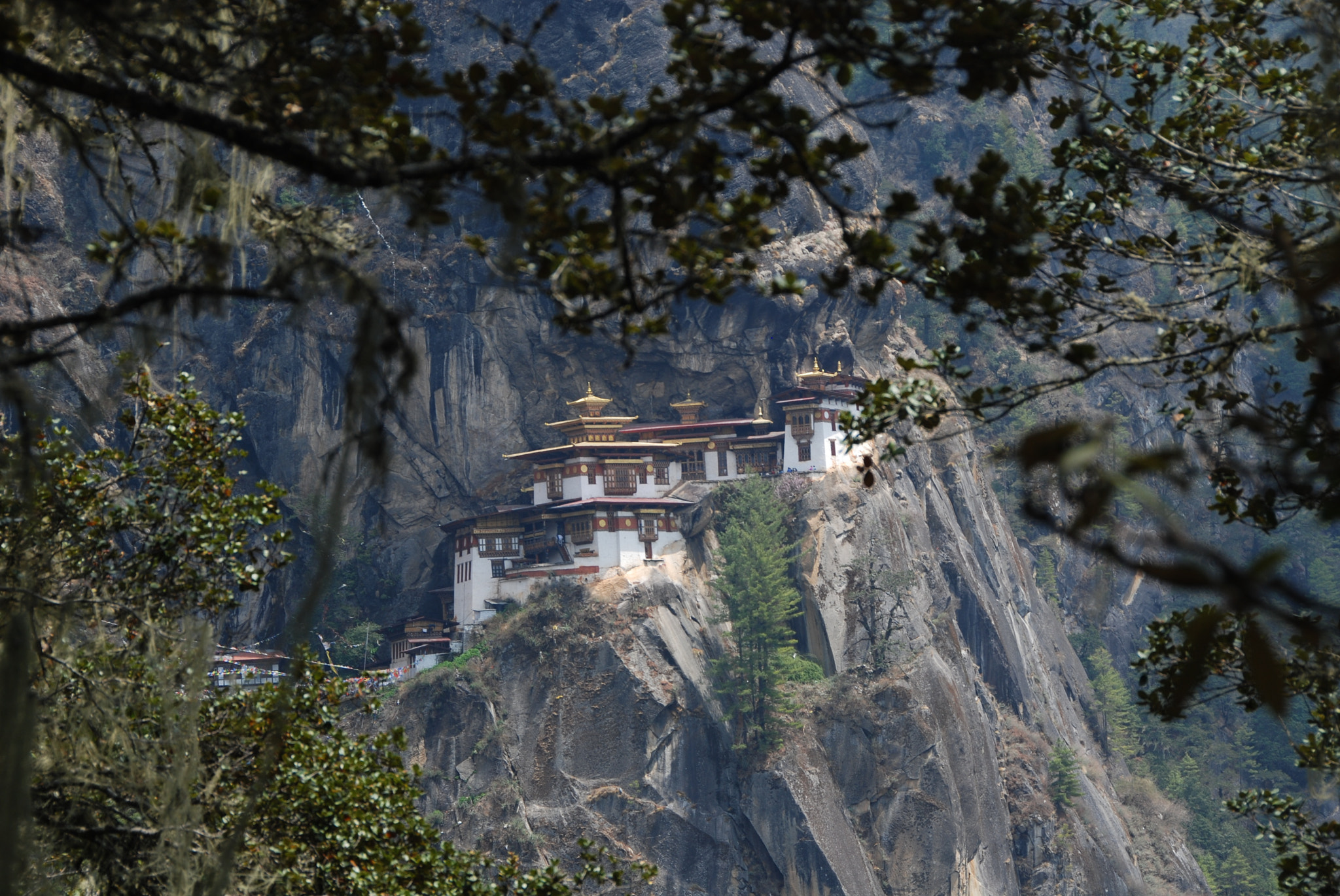 Nikon D80 sample photo. Tiger nest monastery in bhutan. what a rewarding view at the end of the hike. photography