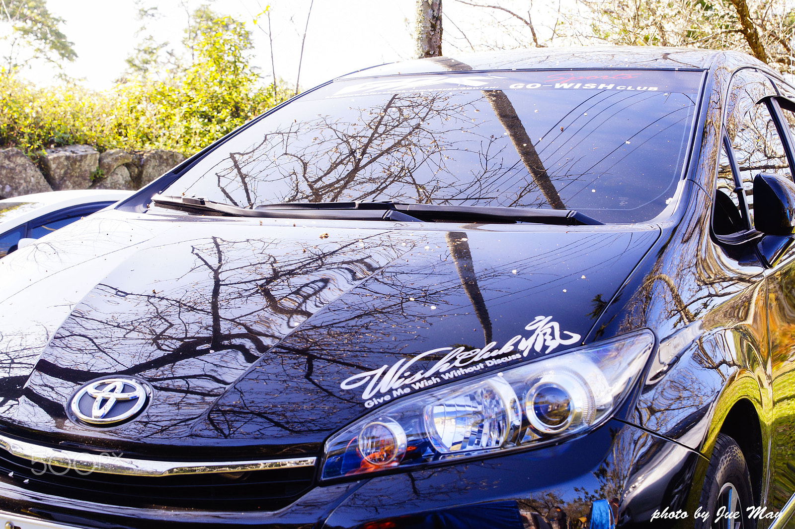 Sony SLT-A77 sample photo. 真想擁有一輛"瘋"梅花彩繪車 photography