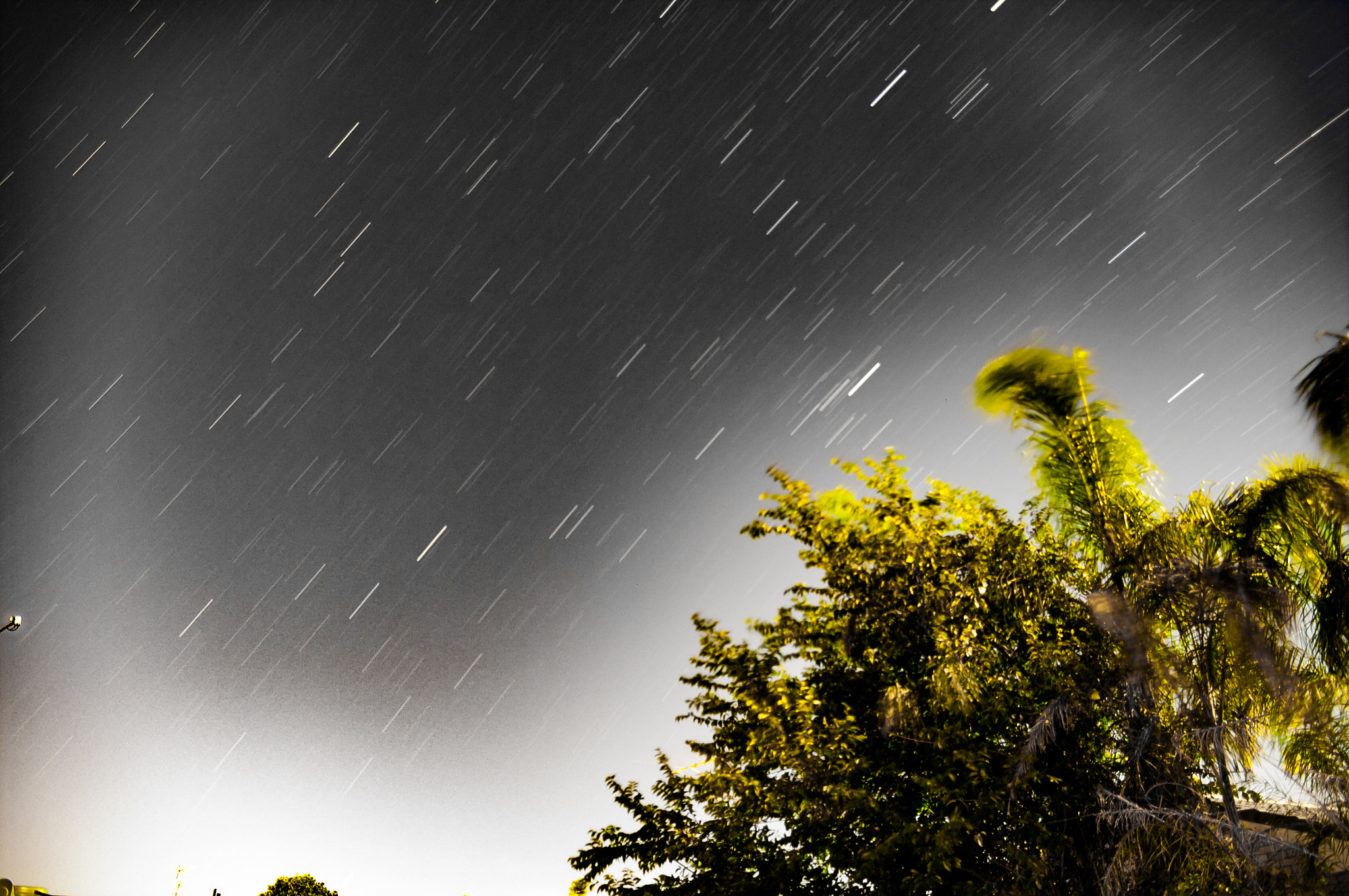 Pentax K-7 sample photo. Star trails photography