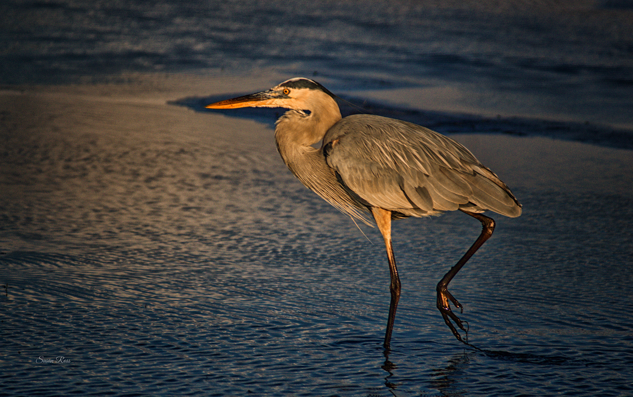 Canon EF 70-200mm F2.8L USM sample photo. Flats fishing photography