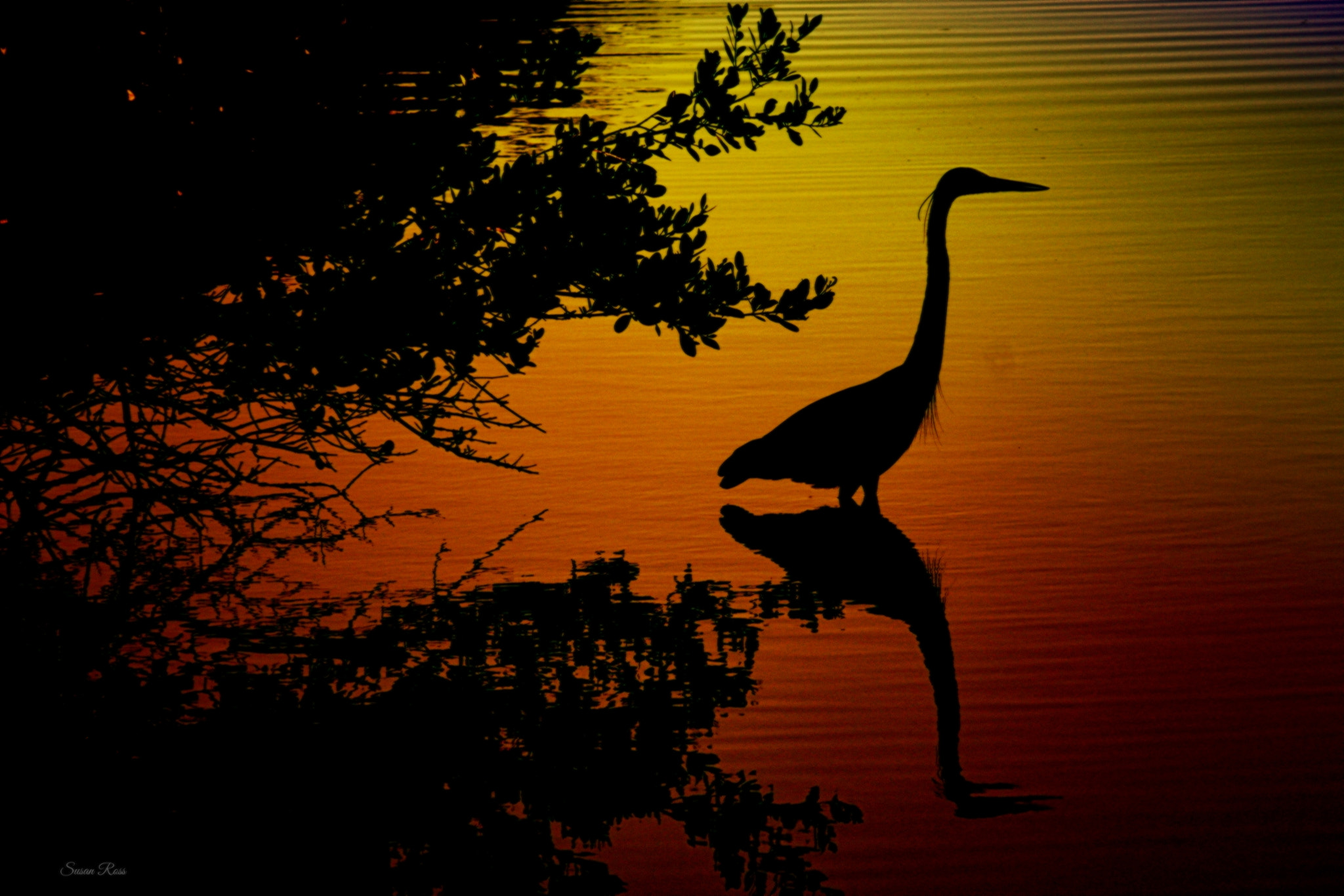 Canon EF 70-200mm F2.8L USM sample photo. Of sunset photography