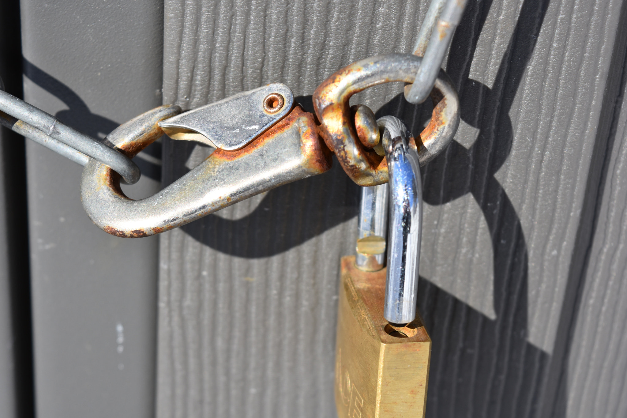 Nikon D7200 sample photo. Unlatched photography