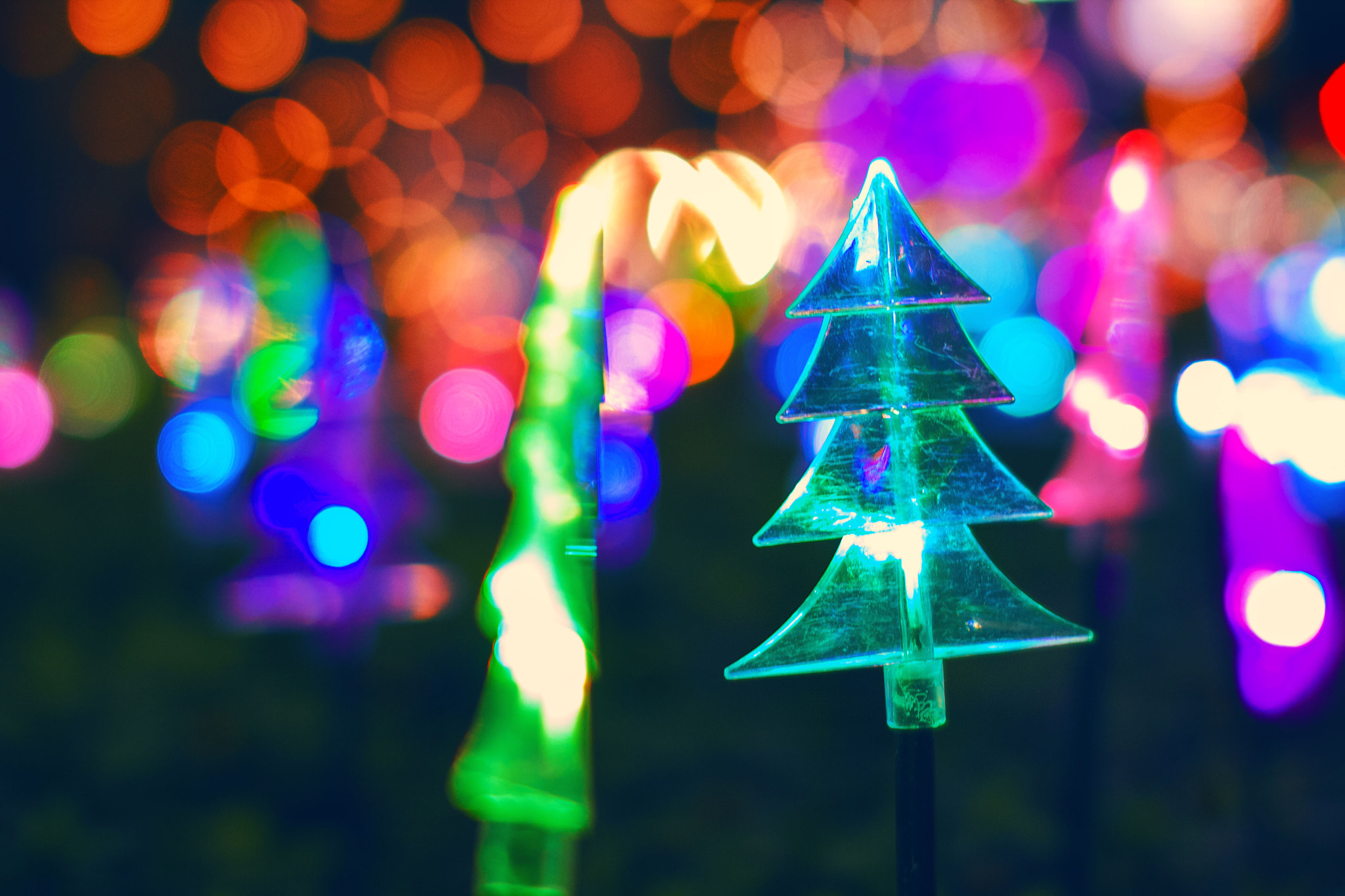 Sigma 50mm F1.4 EX DG HSM sample photo. Night   show photography