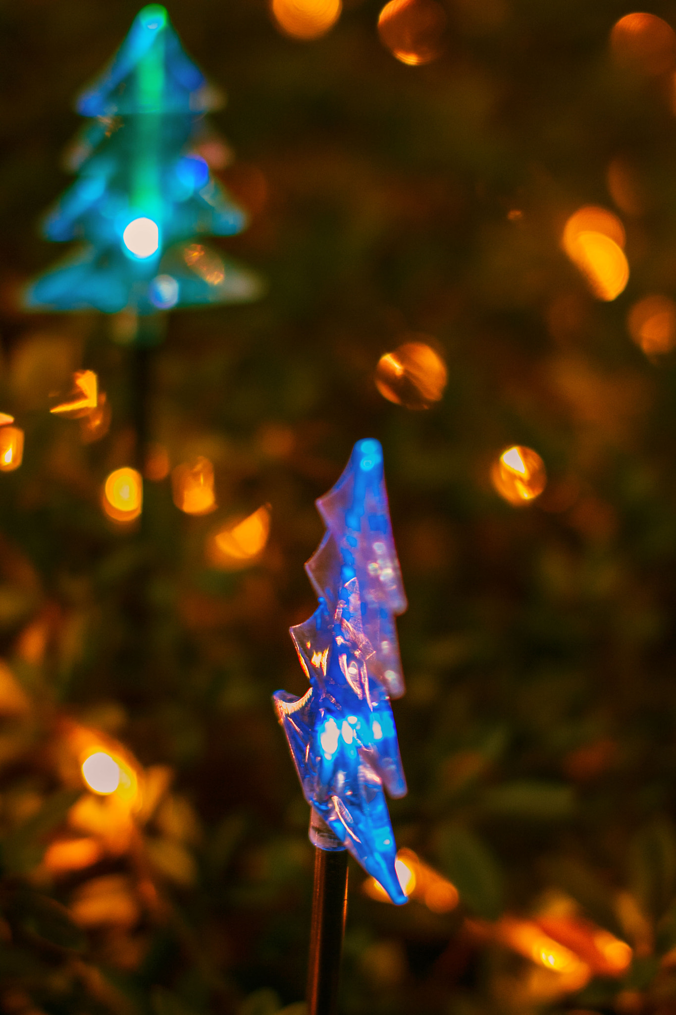Sigma 50mm F1.4 EX DG HSM sample photo. Night   show photography