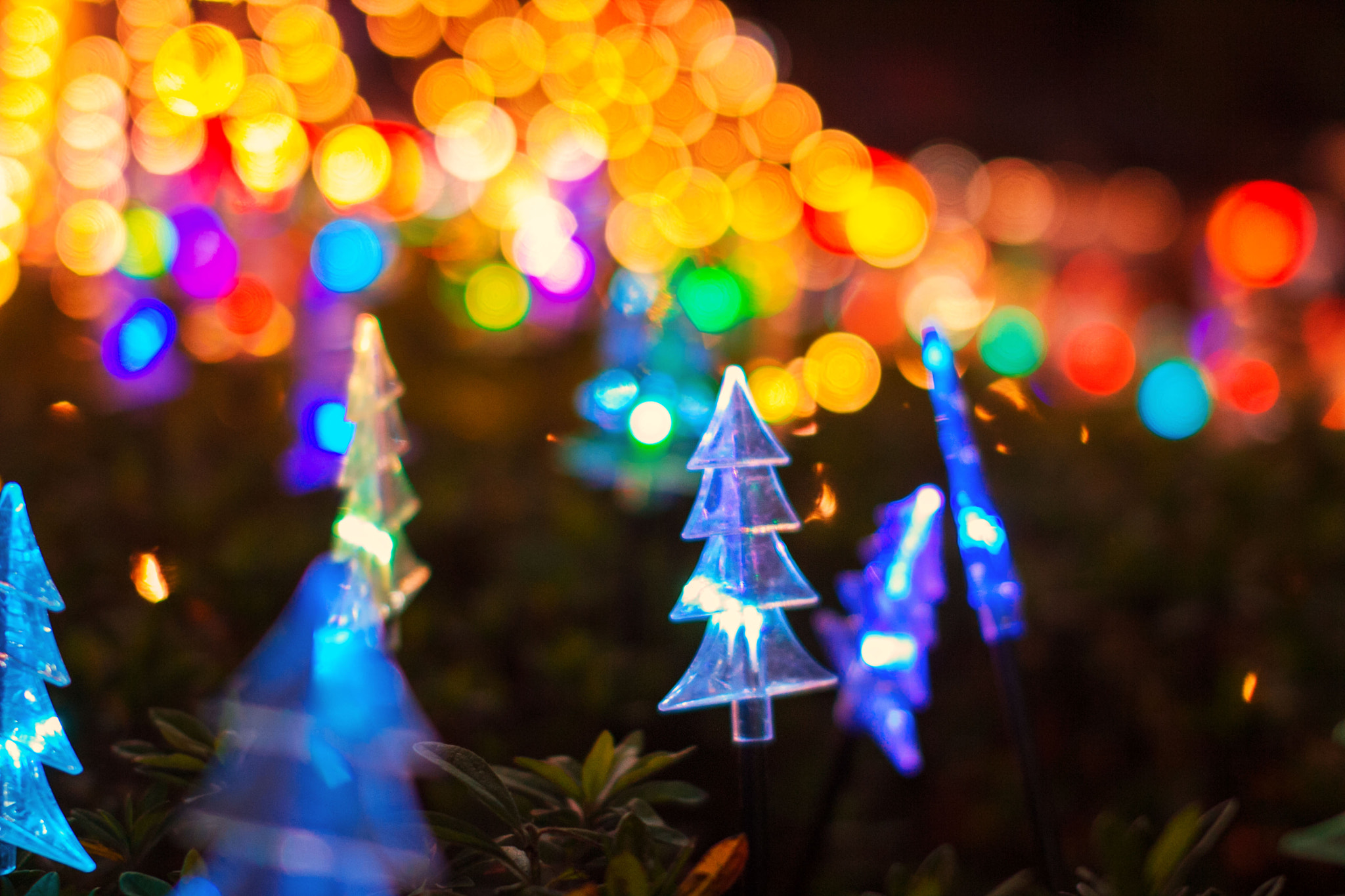 Sigma 50mm F1.4 EX DG HSM sample photo. Night   show photography