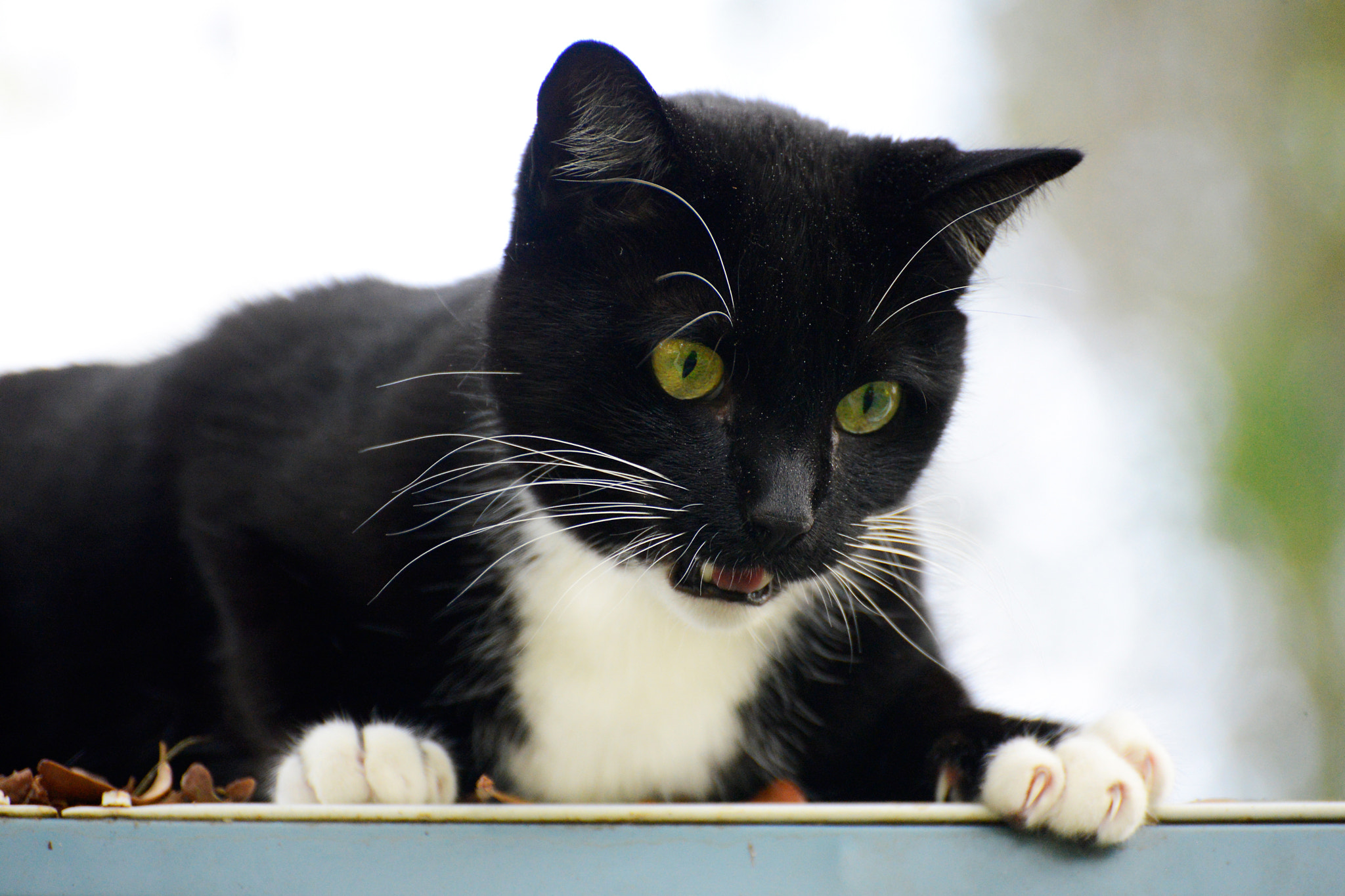 v2?sig=956c492a4411b5b4abe626bb77c187eaf134a0682ee25d4bd768c7798e2a56a1