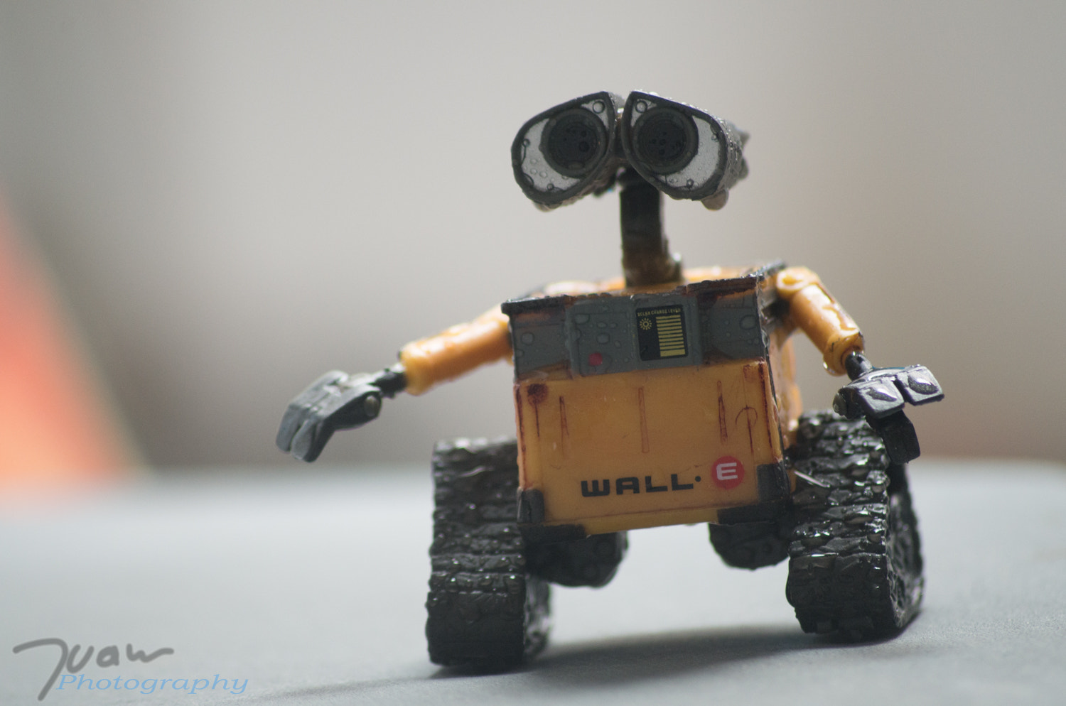 Pentax K-50 + Sigma sample photo. Wall-e photography