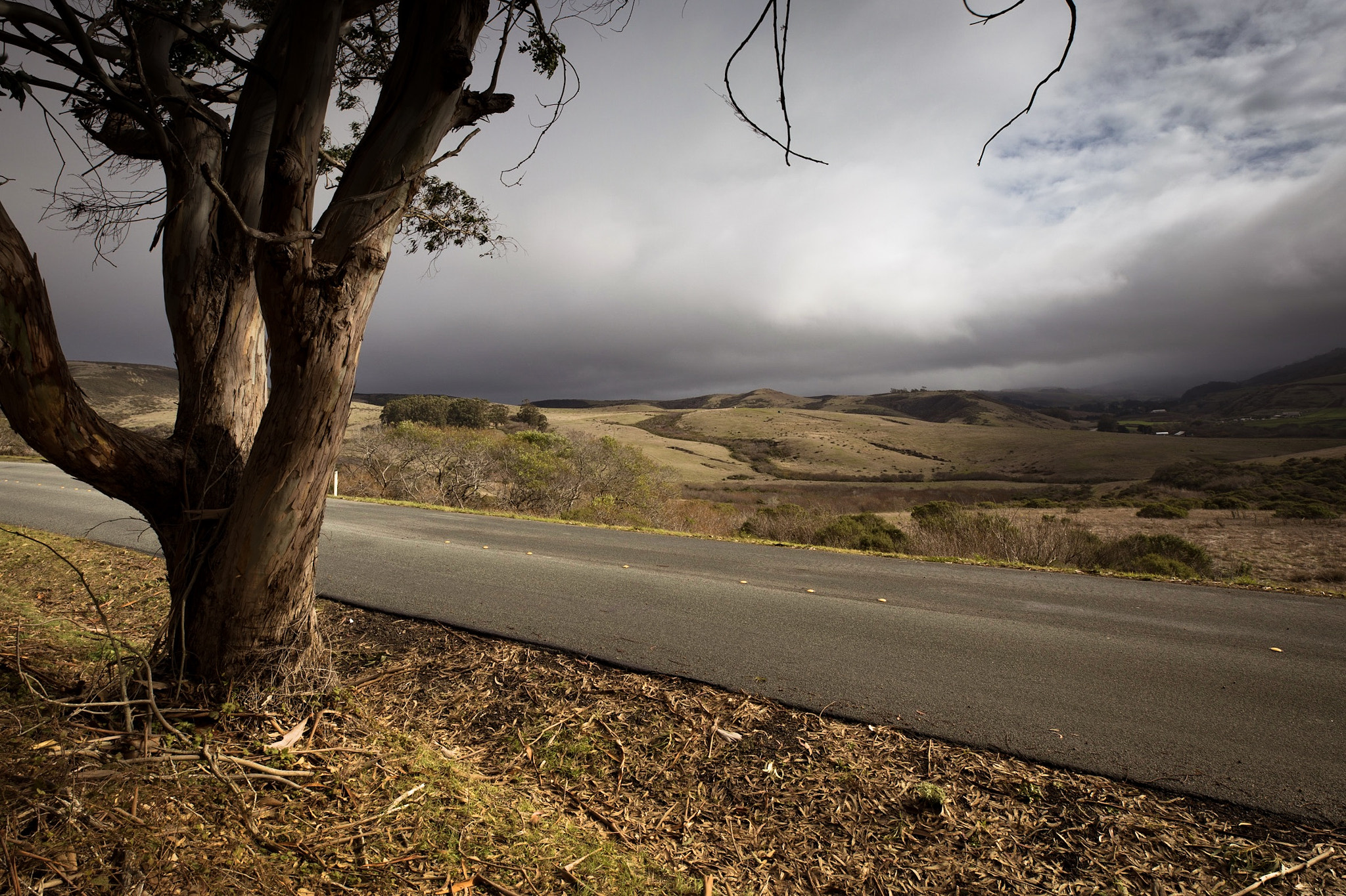 Canon EF 16-35mm F2.8L III USM sample photo. Outlook photography