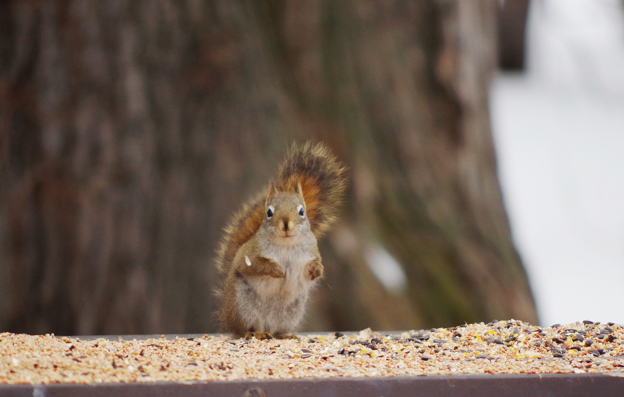 Pentax K-50 sample photo. Cute photography