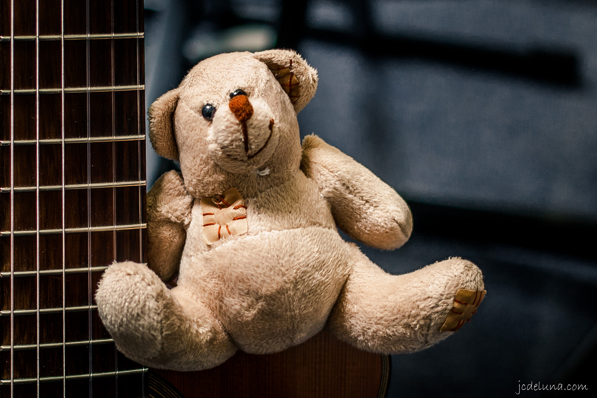 Canon EF 40mm F2.8 STM sample photo. Mr. patches photography