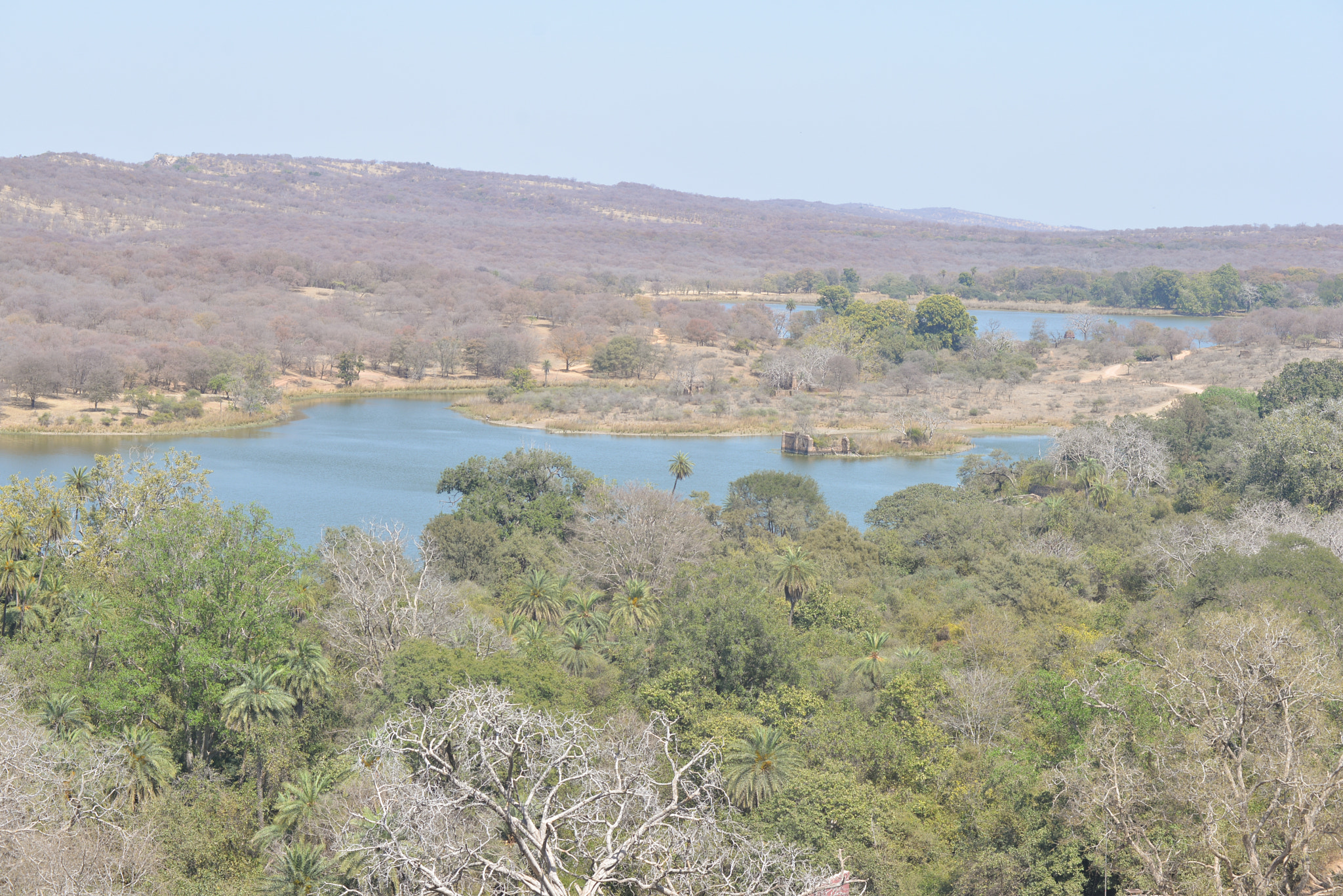 Nikon D610 sample photo. Ranthambore photography