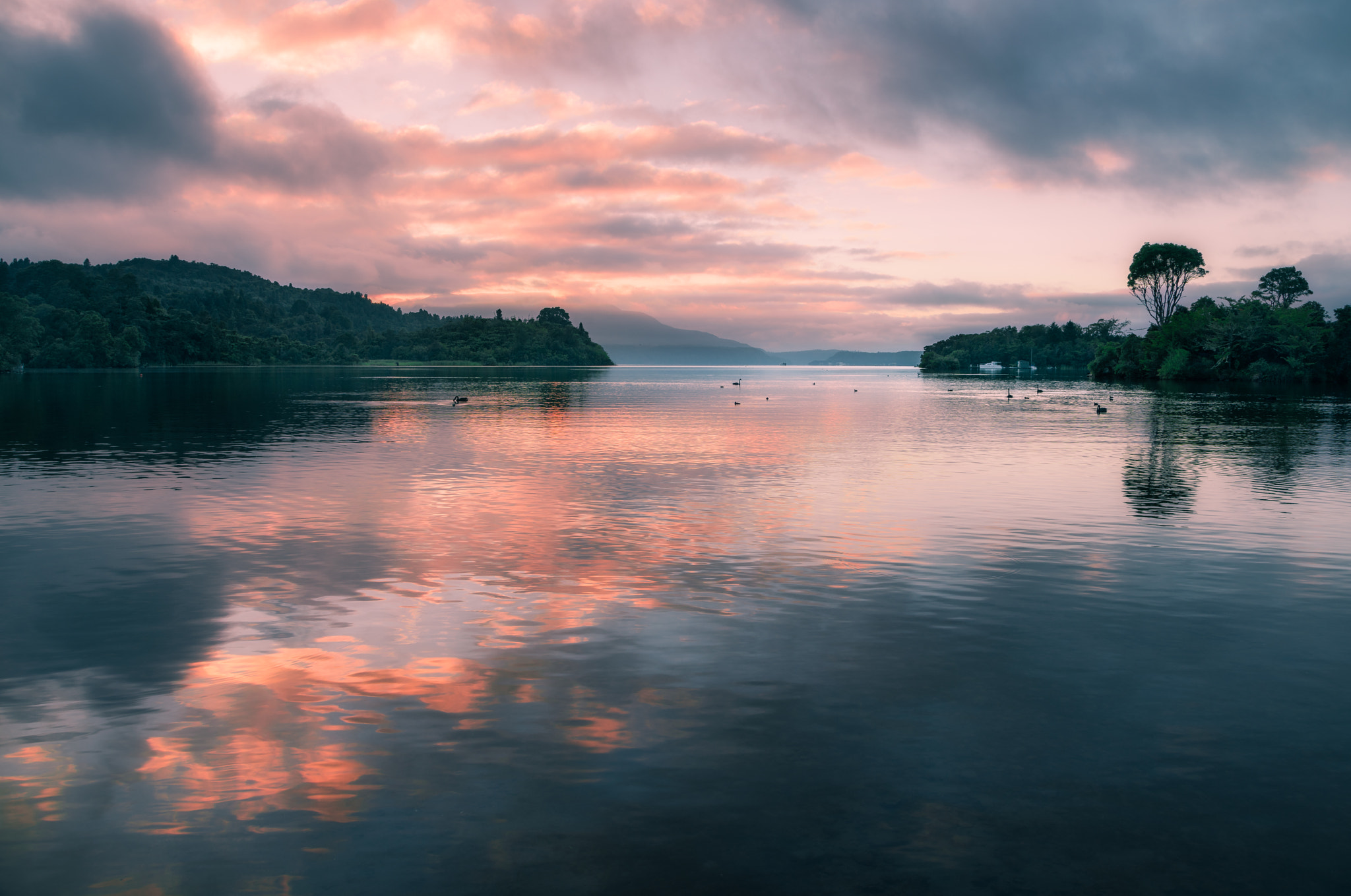 Sony a7R II + Canon EF 24-105mm F4L IS USM sample photo. That morning photography