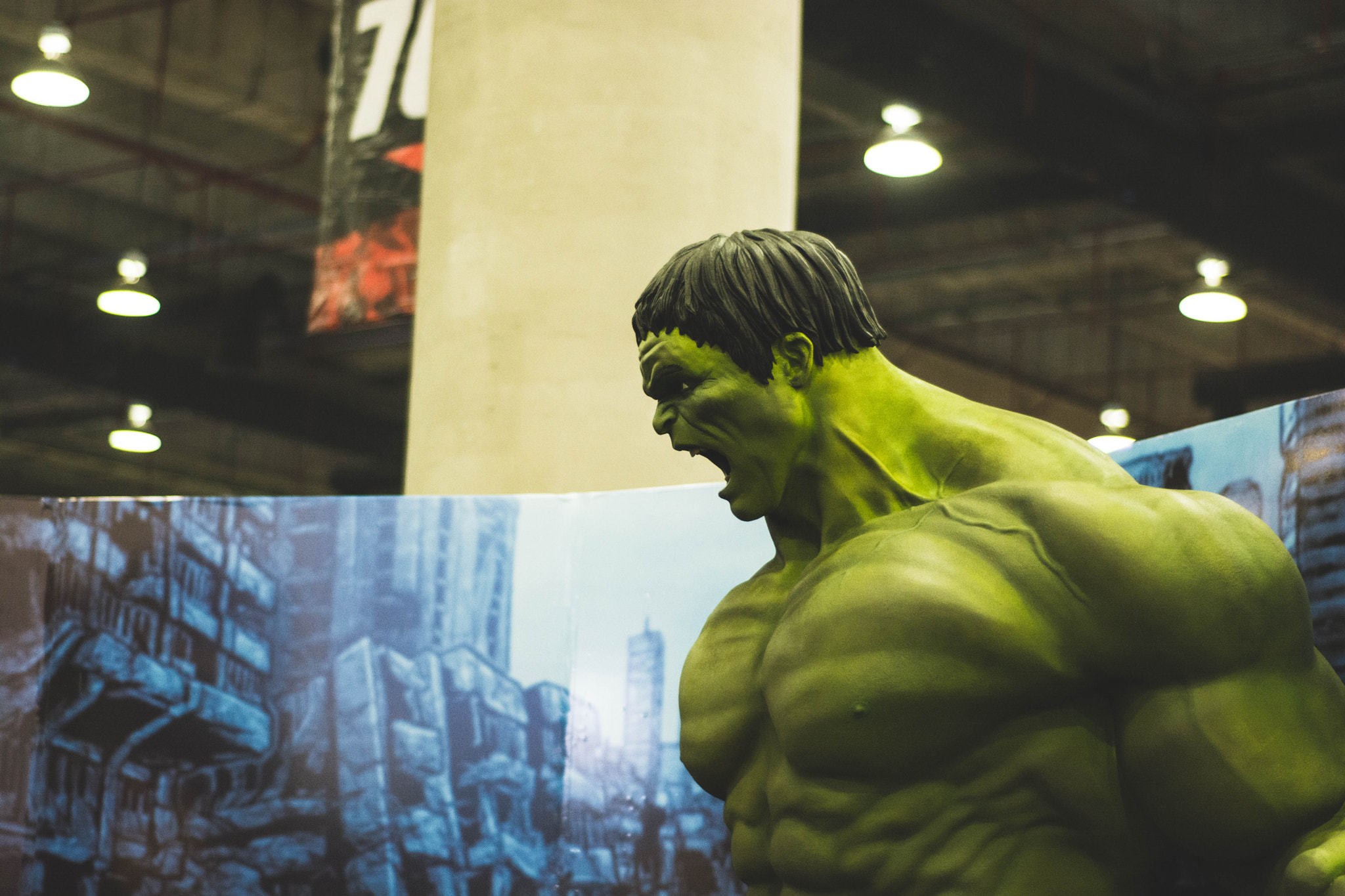 Nikon D5200 + Nikon AF Nikkor 50mm F1.8D sample photo. The hulk photography