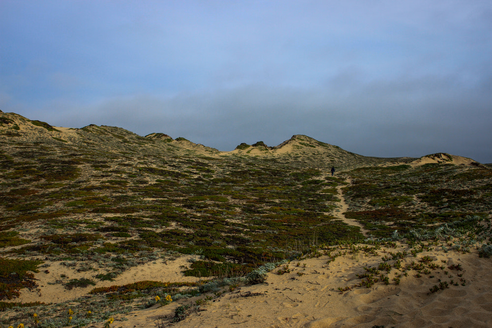 Canon EOS 7D + Sigma 24-70mm F2.8 EX DG Macro sample photo. Dunes in springtime photography