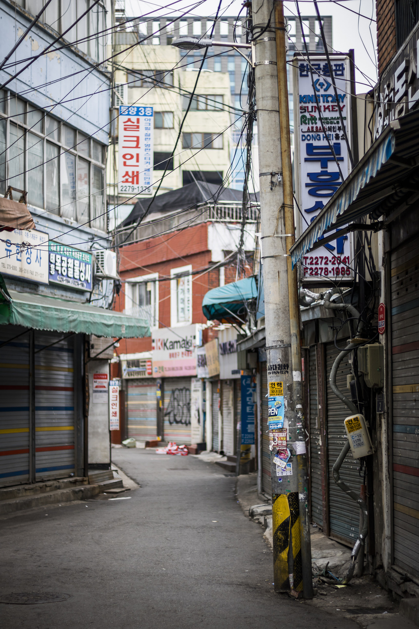 Canon EOS 760D (EOS Rebel T6s / EOS 8000D) + Canon EF 50mm F1.8 STM sample photo. New tradition photography