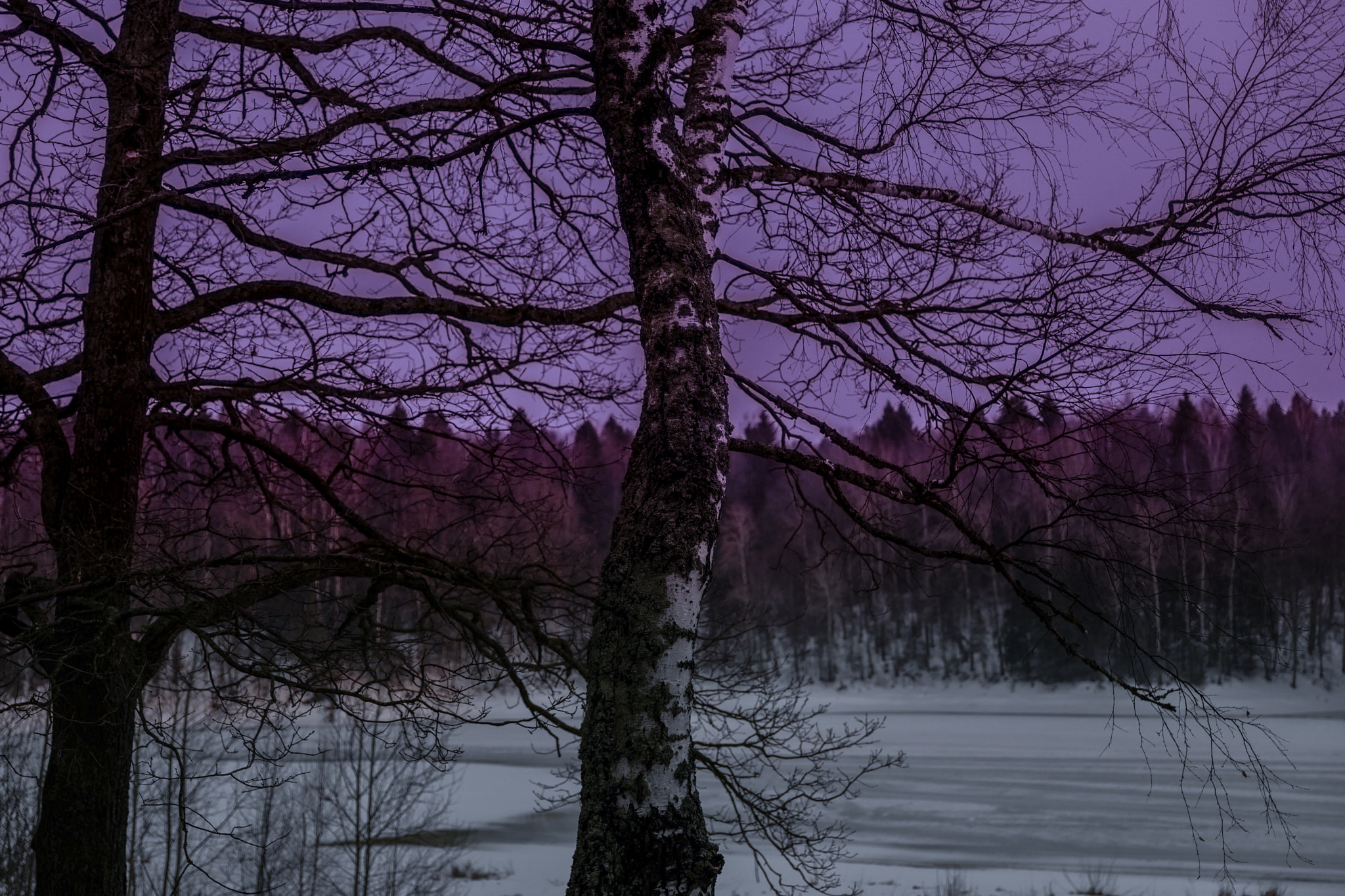 VARIO-ELMARIT 1:2.8-4.0/24-90mm ASPH. OIS sample photo. Sunset photography