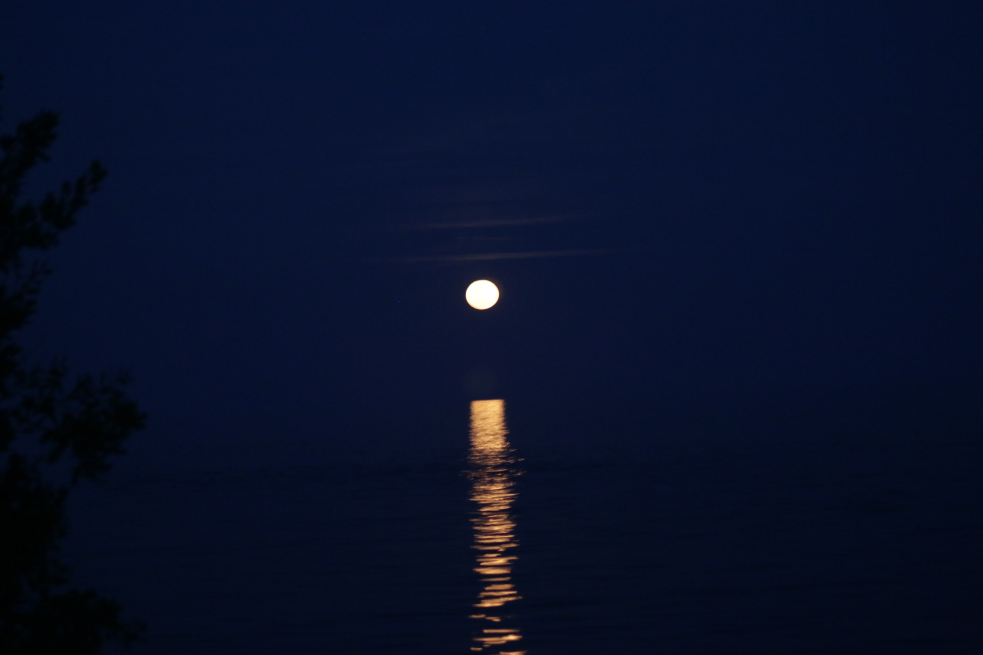 Canon EOS 70D + EF75-300mm f/4-5.6 sample photo