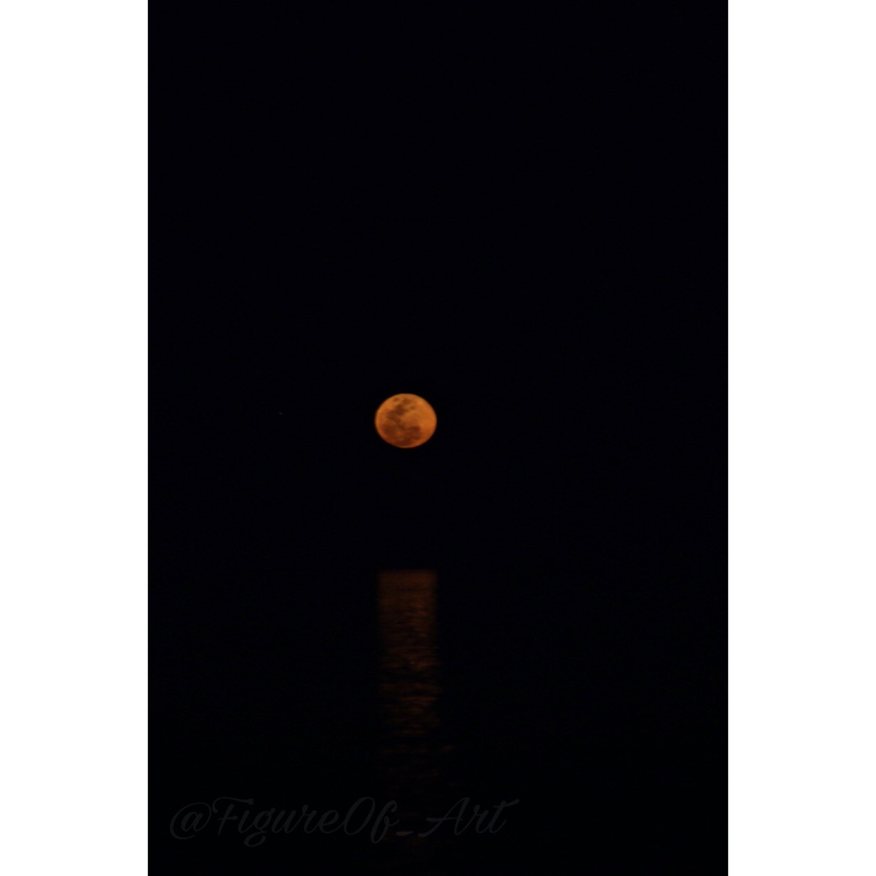Canon EF75-300mm f/4-5.6 sample photo
