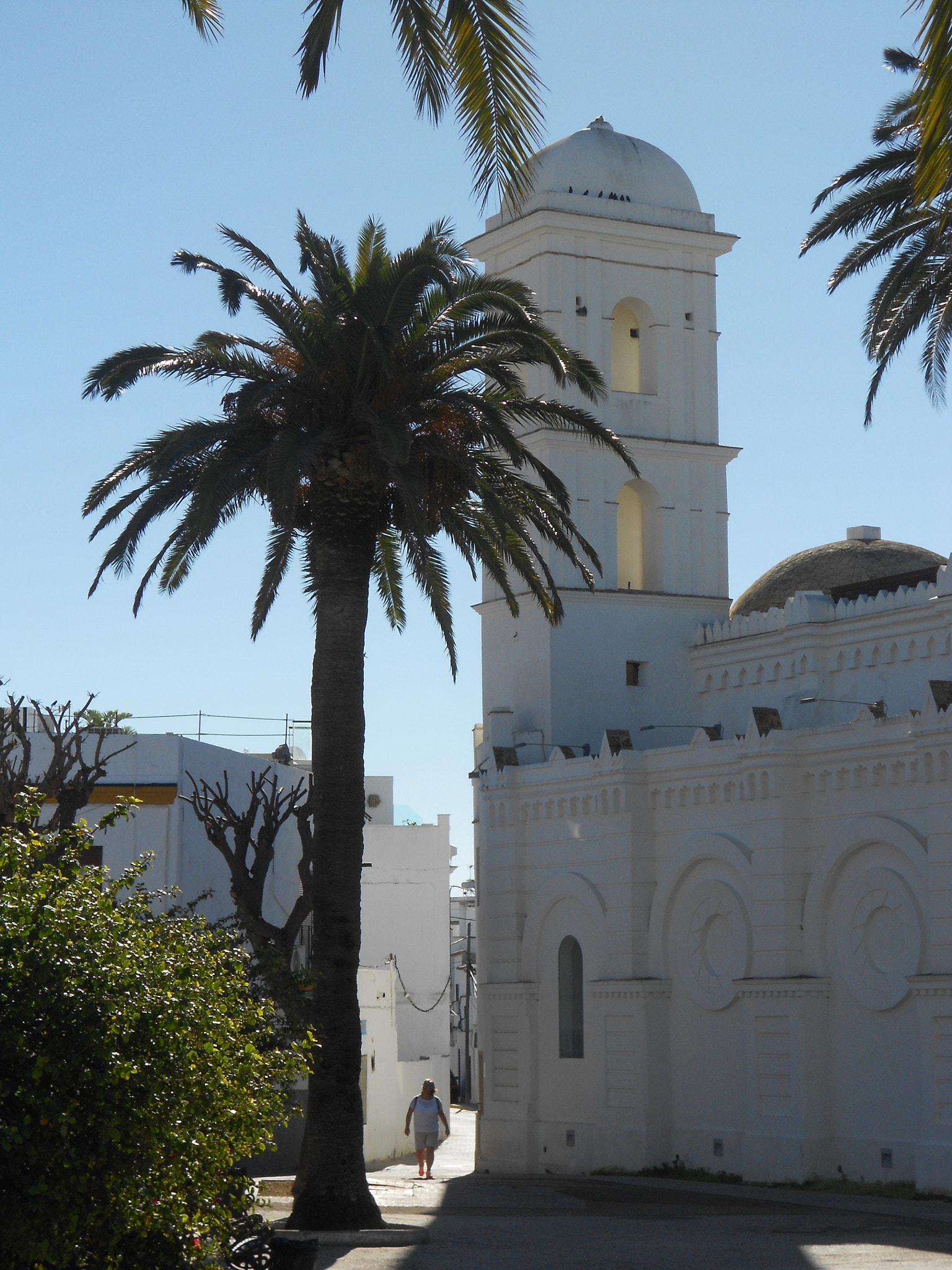 Nikon COOLPIX S4150 sample photo. Palm and church tower photography
