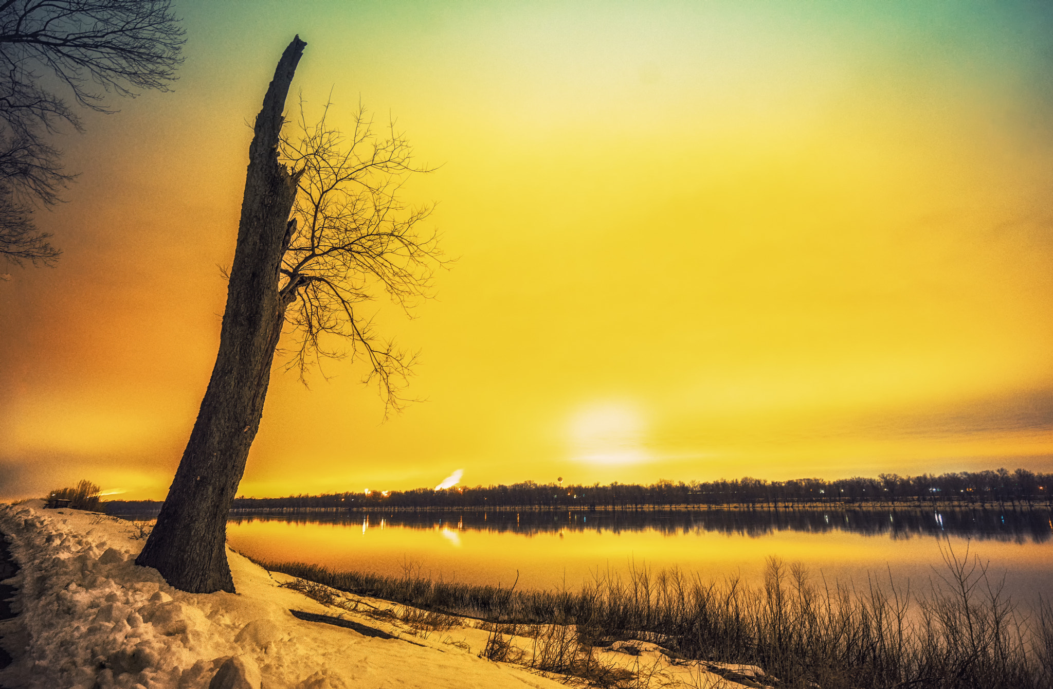 Sony a7R + Sony Vario-Tessar T* FE 16-35mm F4 ZA OSS sample photo. "survivor" photography