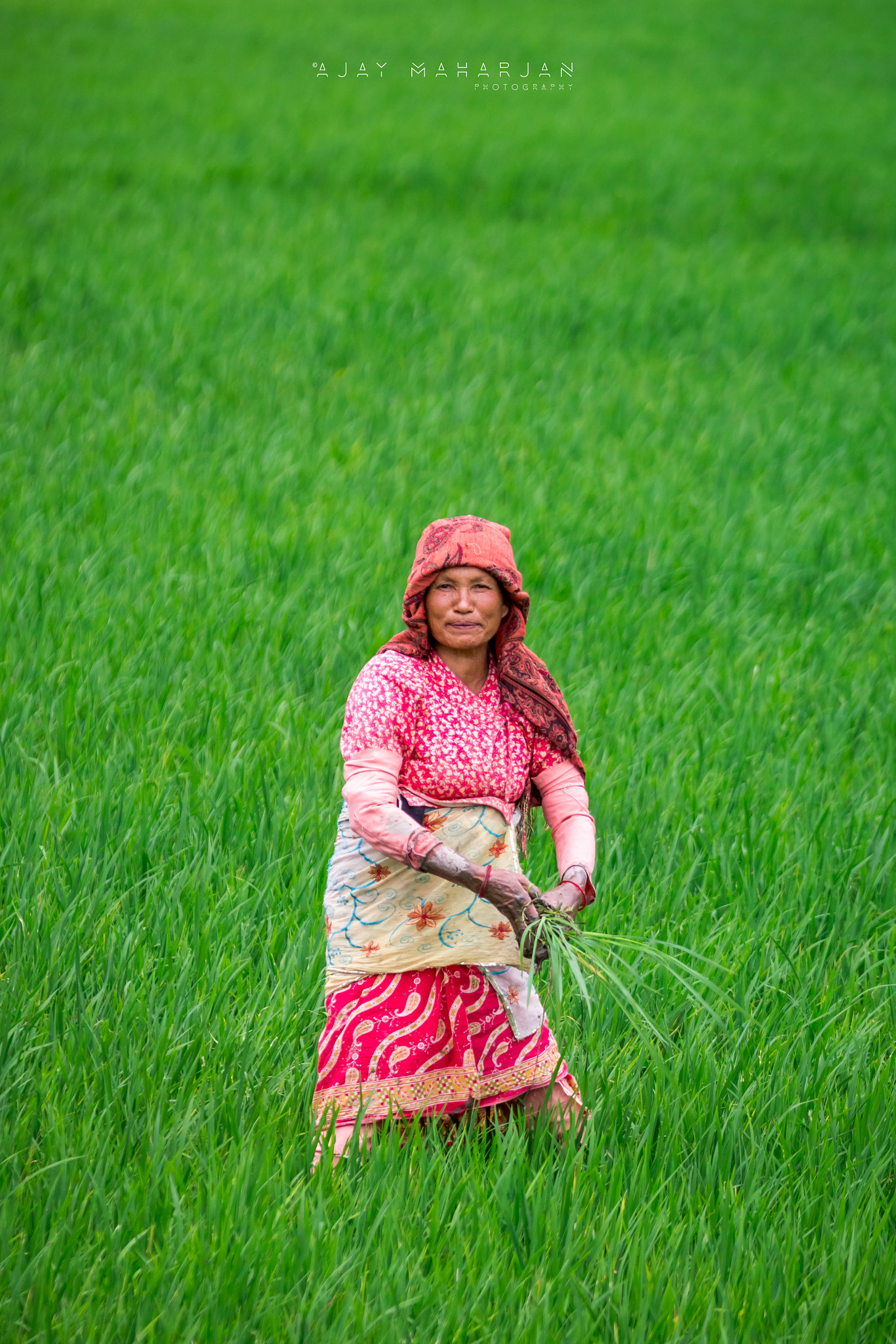 Tamron SP 150-600mm F5-6.3 Di VC USD sample photo. ~a nepali women~ photography