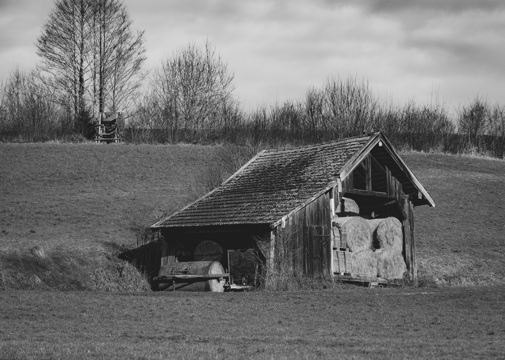 Fujifilm XF 55-200mm F3.5-4.8 R LM OIS sample photo. Forgotten shag somewhere in bavaria photography