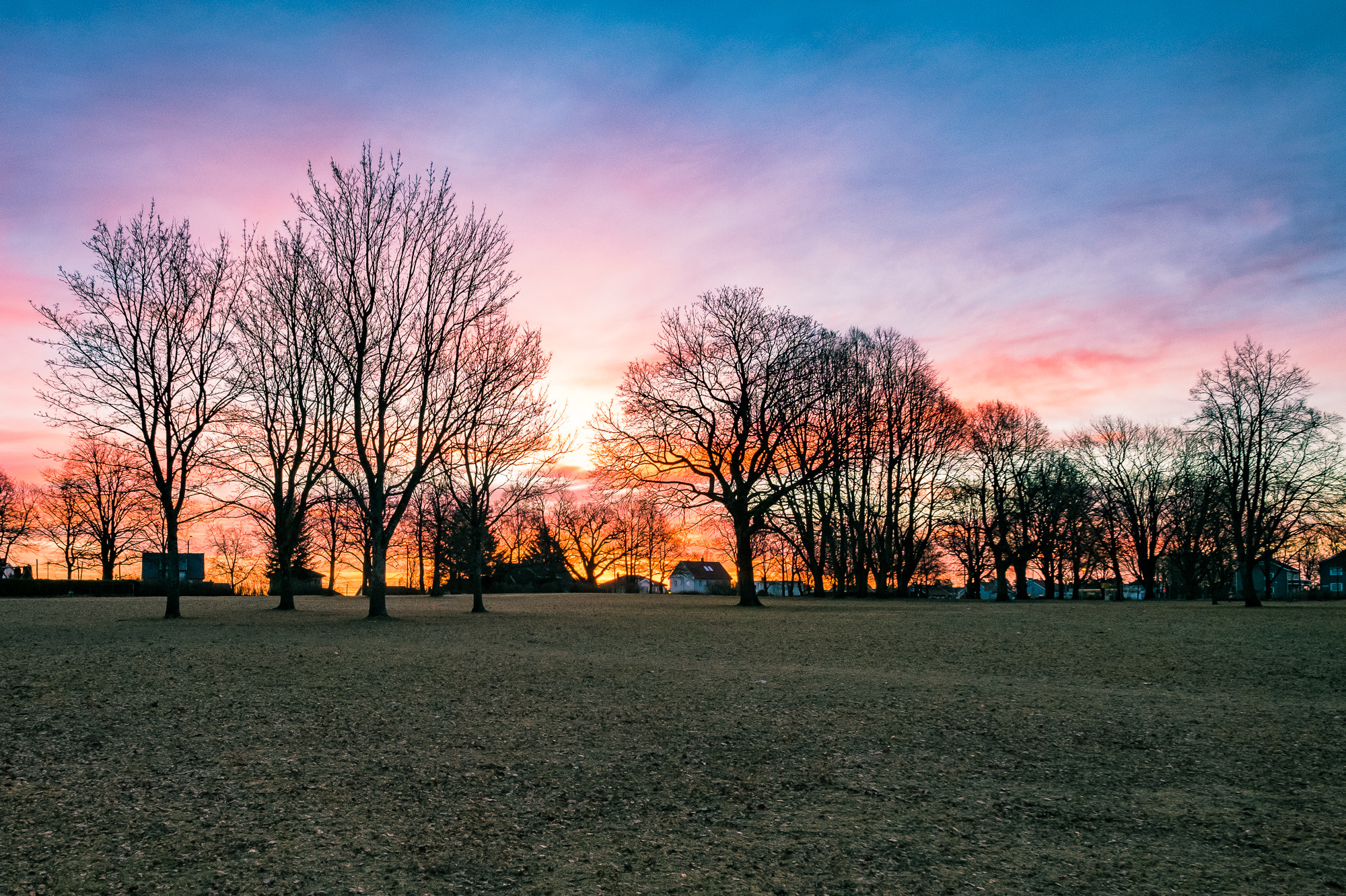 Fujifilm X-T20 + Fujifilm XF 14mm F2.8 R sample photo. Melløsparken at sunrise photography