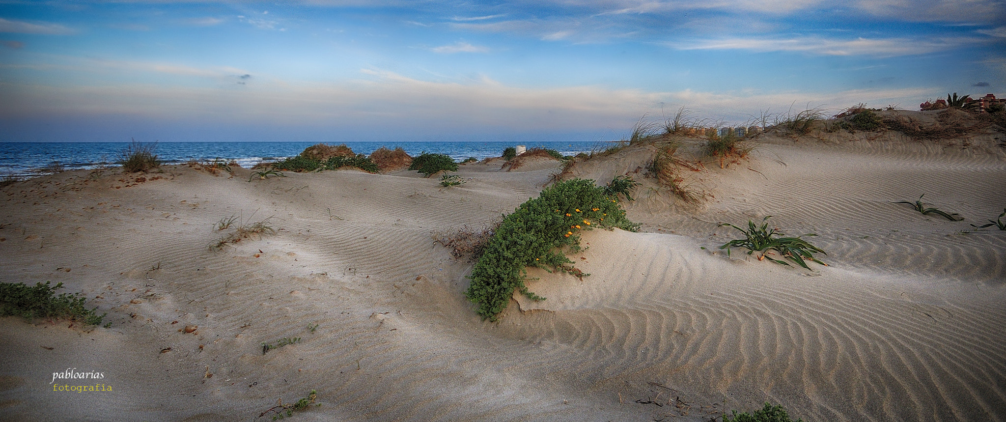 Sigma 10-20mm F4-5.6 EX DC HSM sample photo. Soledad photography