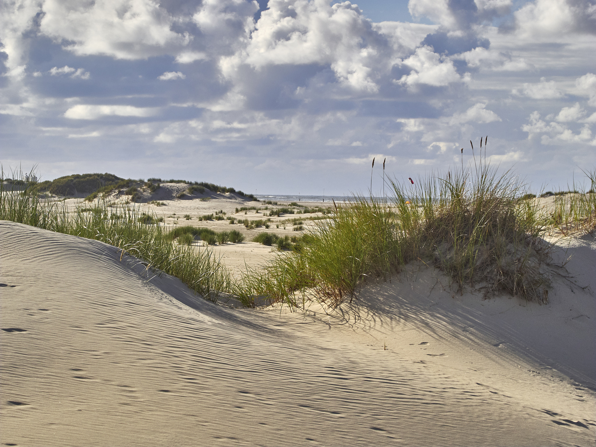 Olympus OM-D E-M1 sample photo. Landschaften auf norderney, in den dünen photography