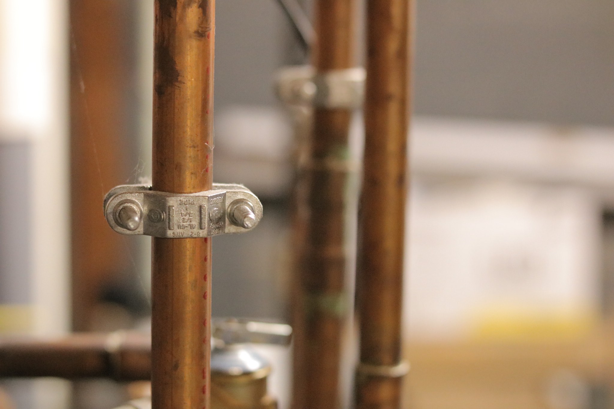 Canon EOS 750D (EOS Rebel T6i / EOS Kiss X8i) sample photo. Img photography