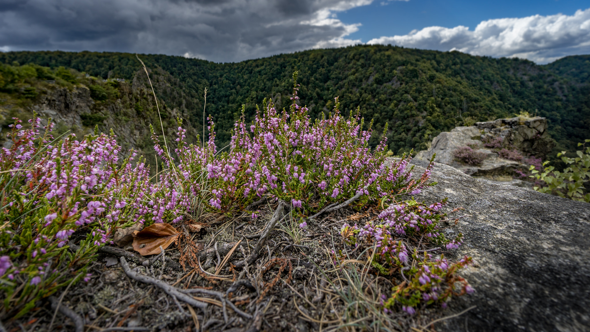 Sony a6000 + Sony E 10-18mm F4 OSS sample photo. Germany | harz 2016 photography