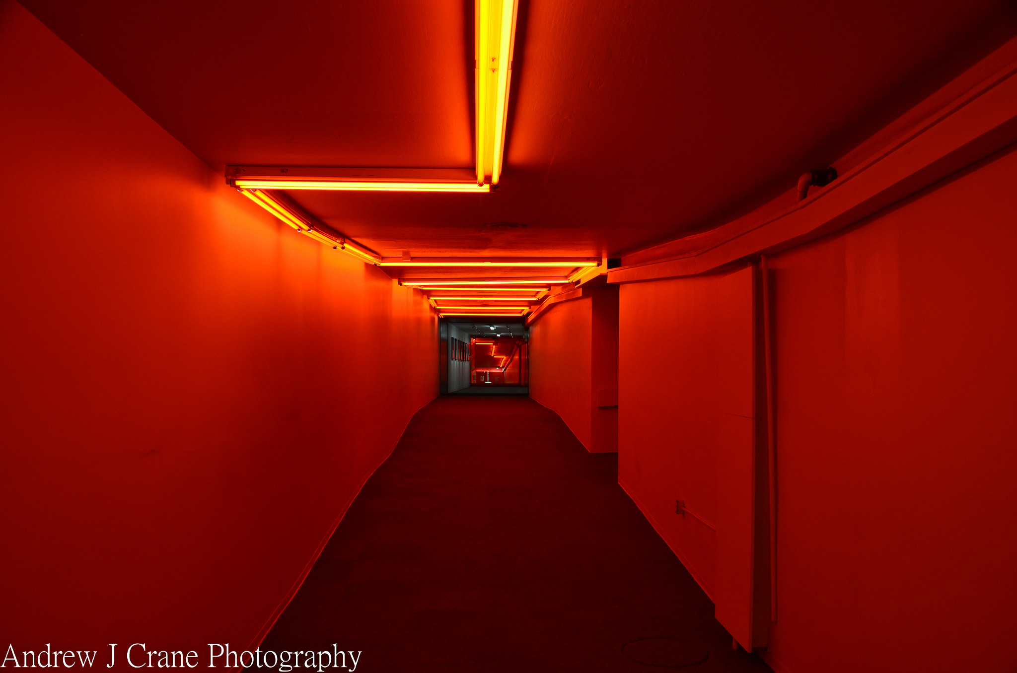 Nikon D7000 + Sigma 18-200mm F3.5-6.3 II DC OS HSM sample photo. Okc underground red photography