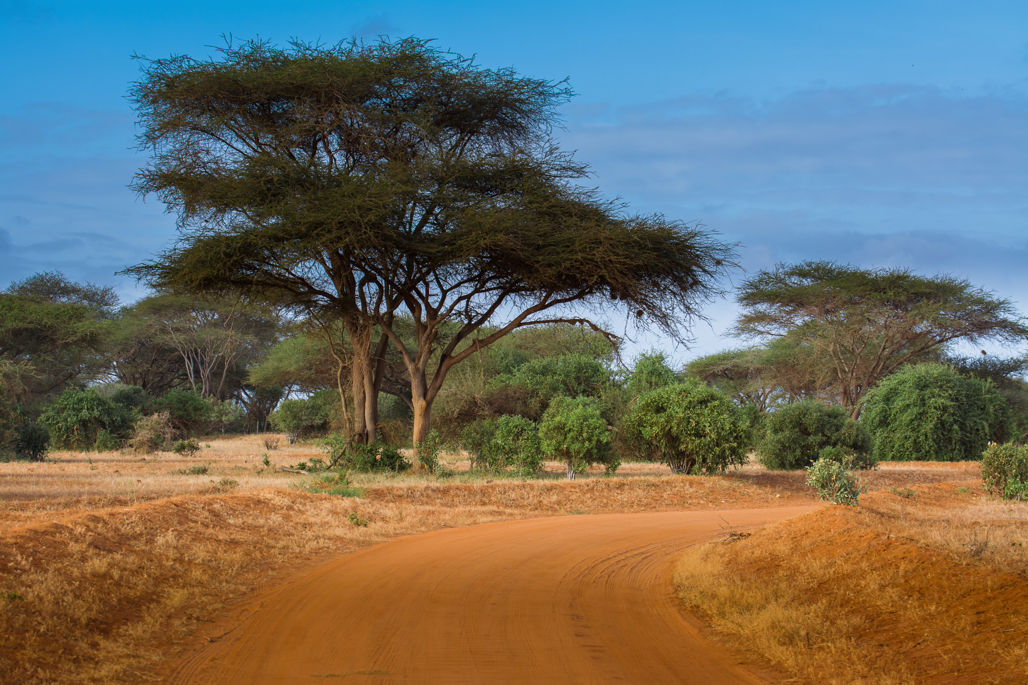 Nikon D7100 + Tamron SP 70-200mm F2.8 Di VC USD sample photo. On tour in tsavo east kenya iv photography