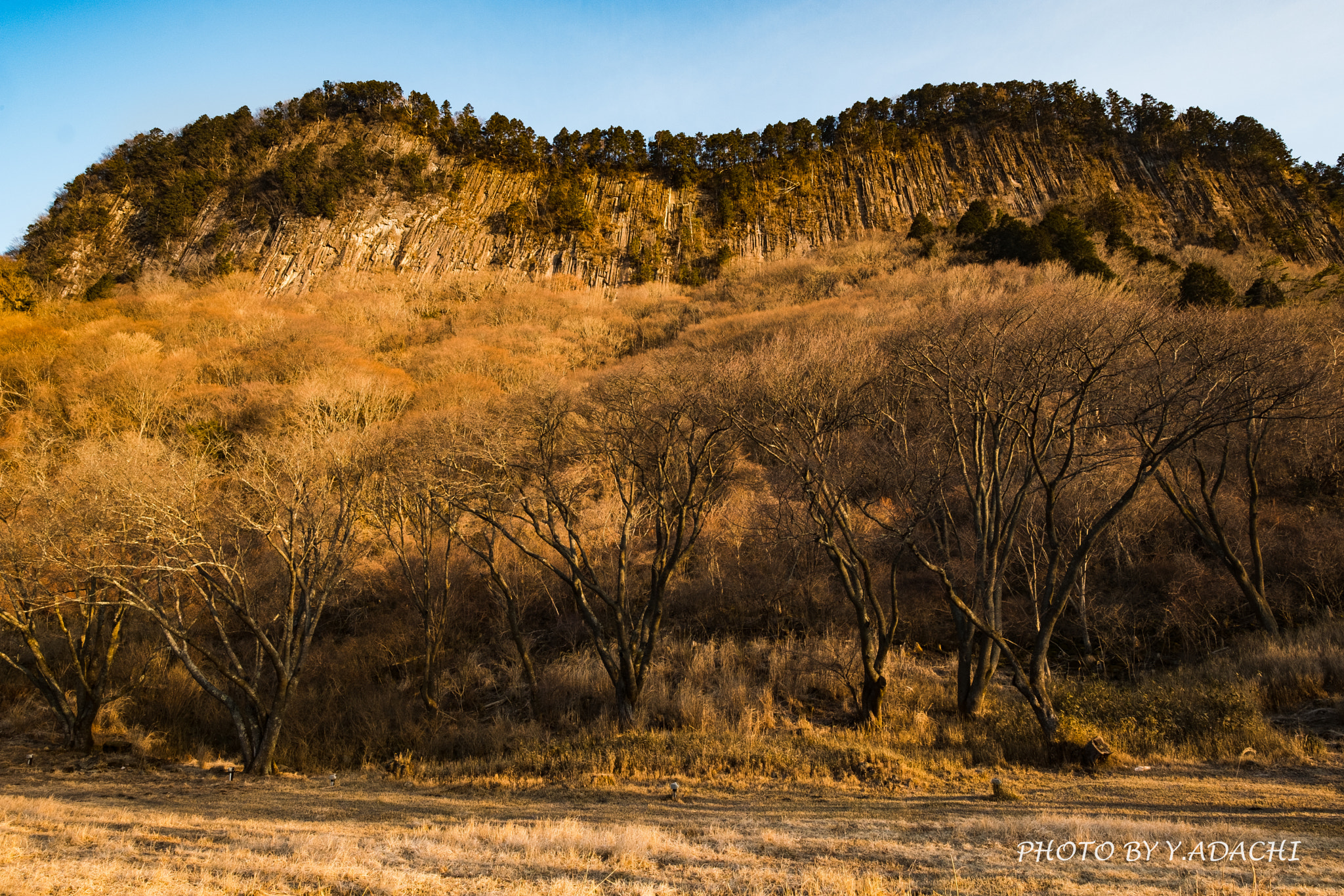 Fujifilm X-T2 + Fujifilm XF 10-24mm F4 R OIS sample photo. Dscf photography