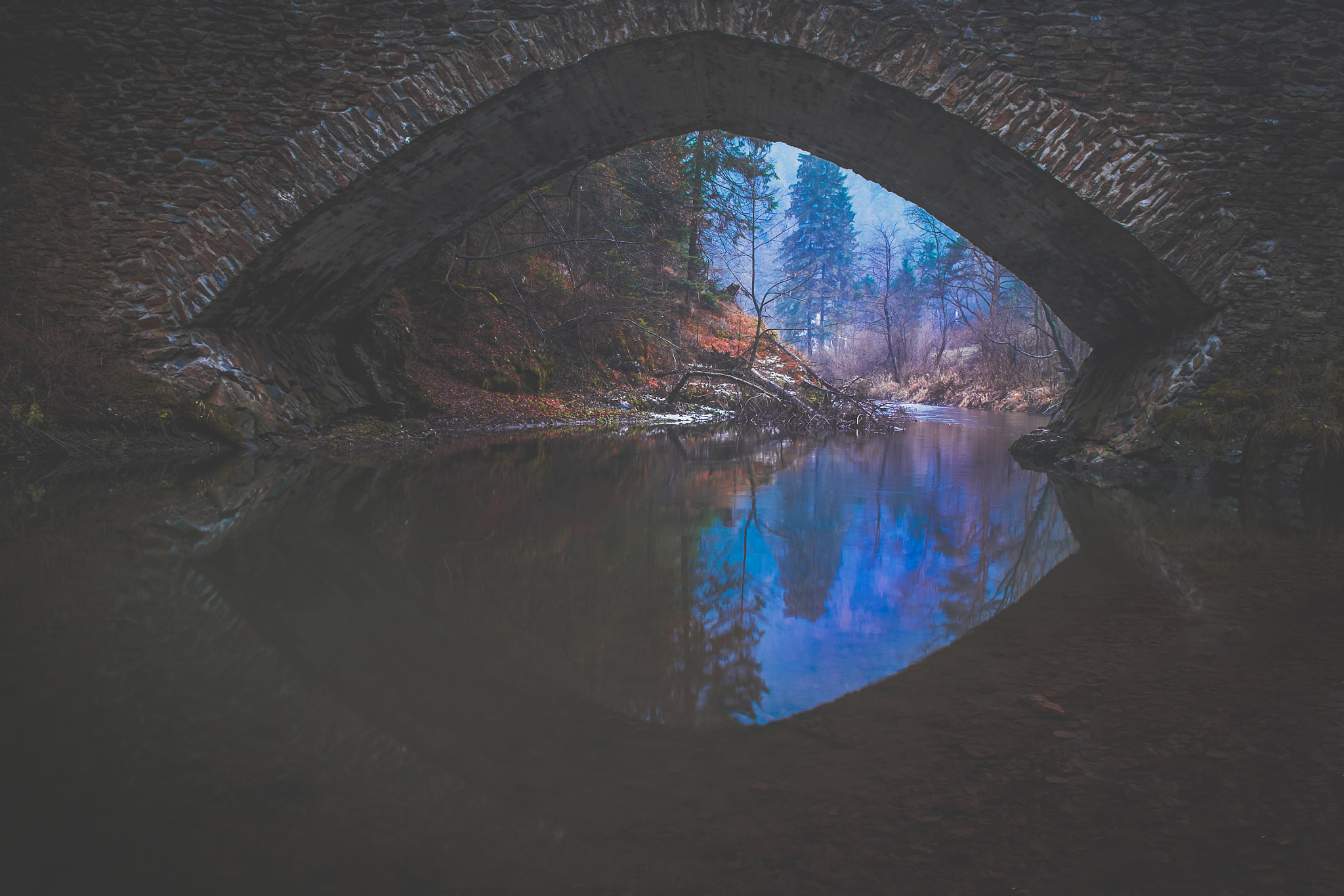 Fujifilm X-Pro1 + Fujifilm XF 18-55mm F2.8-4 R LM OIS sample photo. Magic eye photography