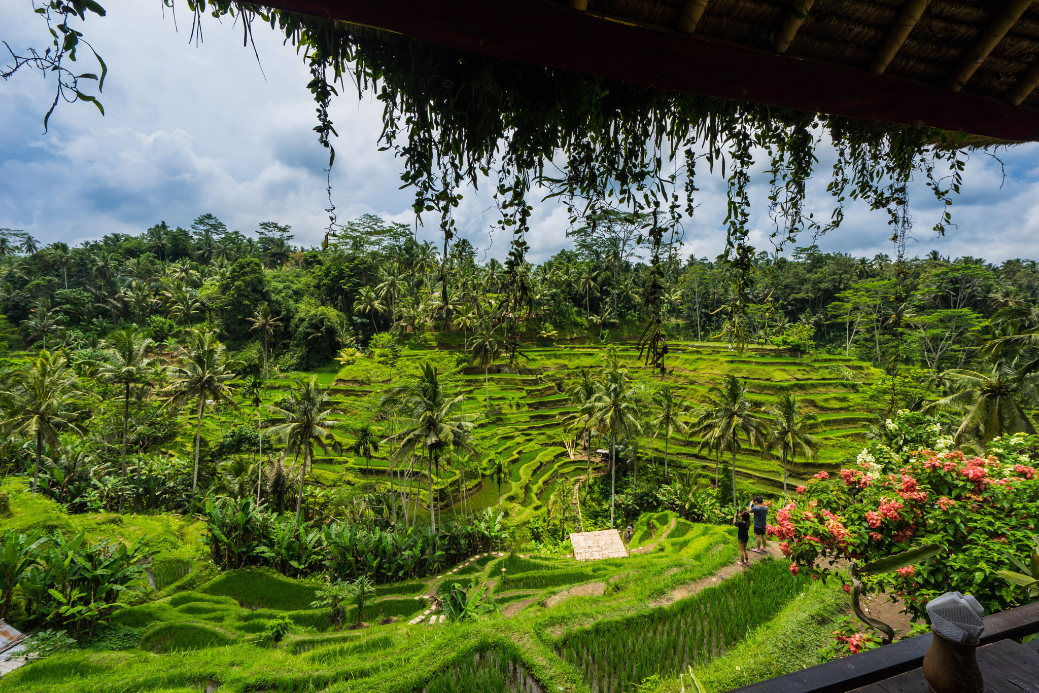 Sony a7R + Sony Vario-Tessar T* FE 16-35mm F4 ZA OSS sample photo. Rice fields in bali photography
