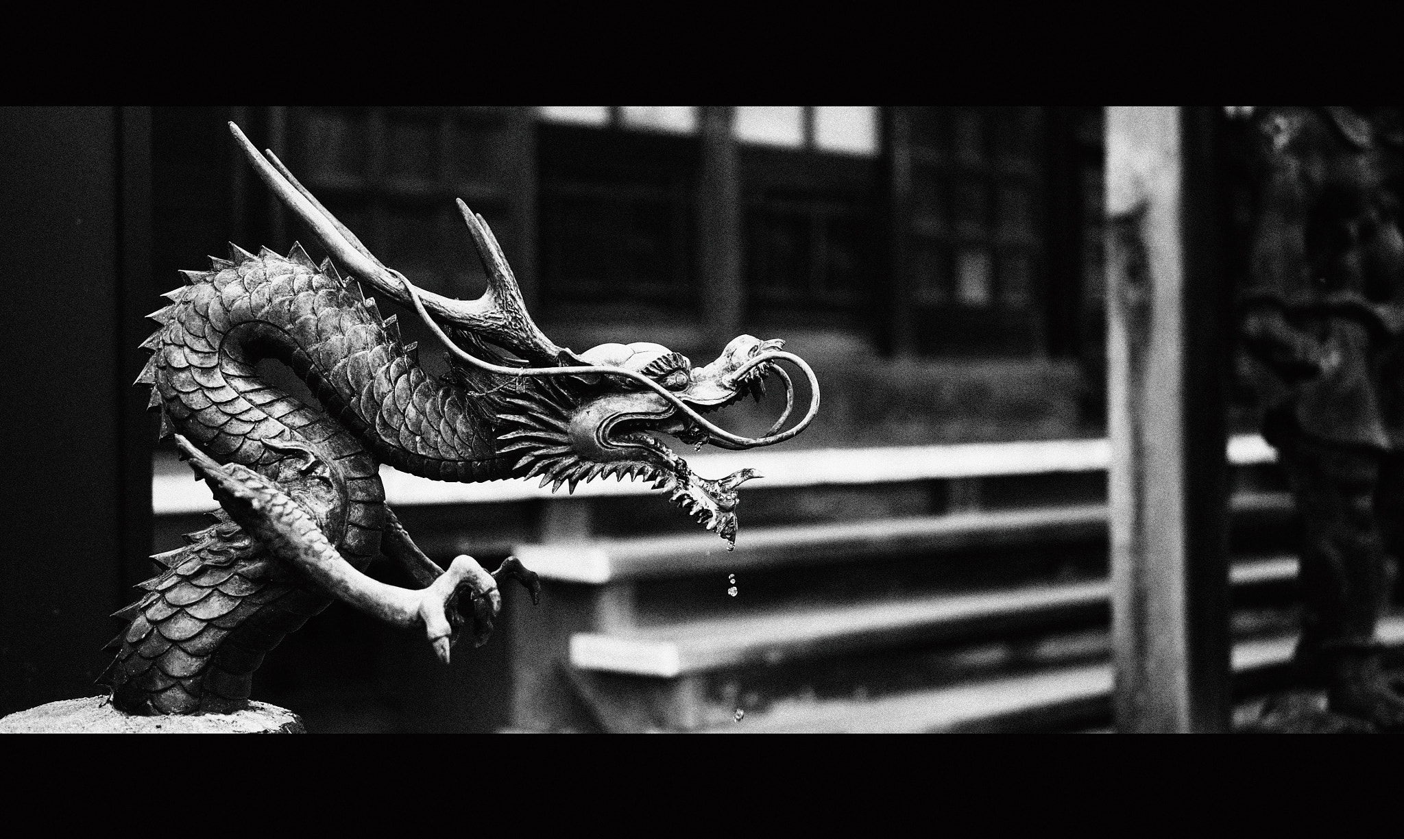 Olympus OM-D E-M10 + LUMIX G 25/F1.7 sample photo