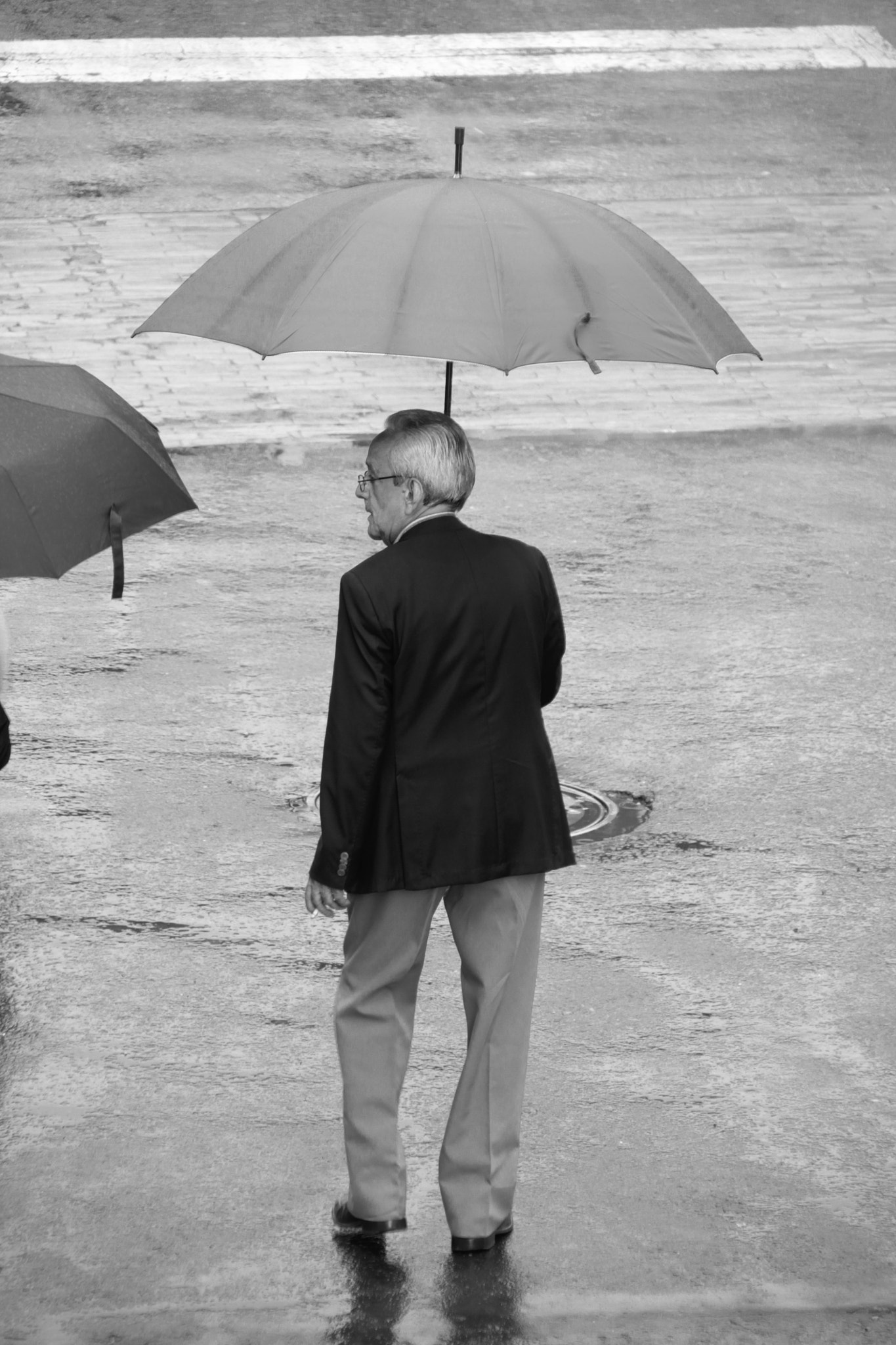 Canon EF 75-300mm F4.0-5.6 IS USM sample photo. In the rain photography