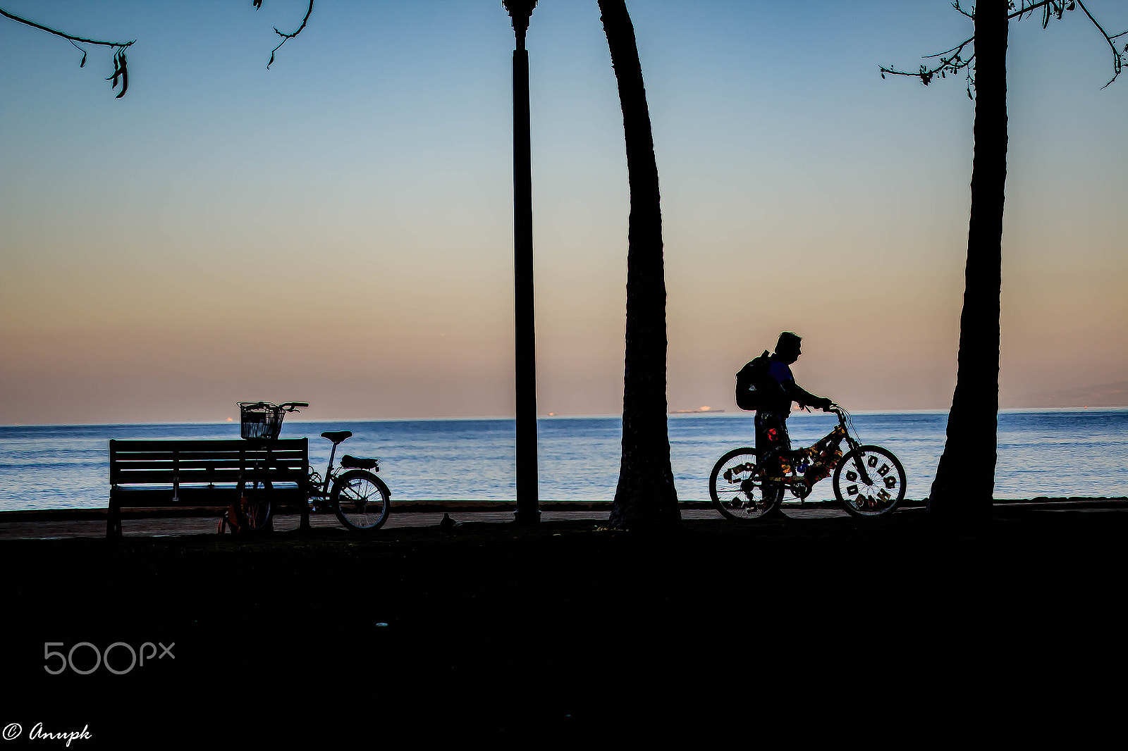 Sigma 50mm F1.4 EX DG HSM sample photo. Hawaii photography