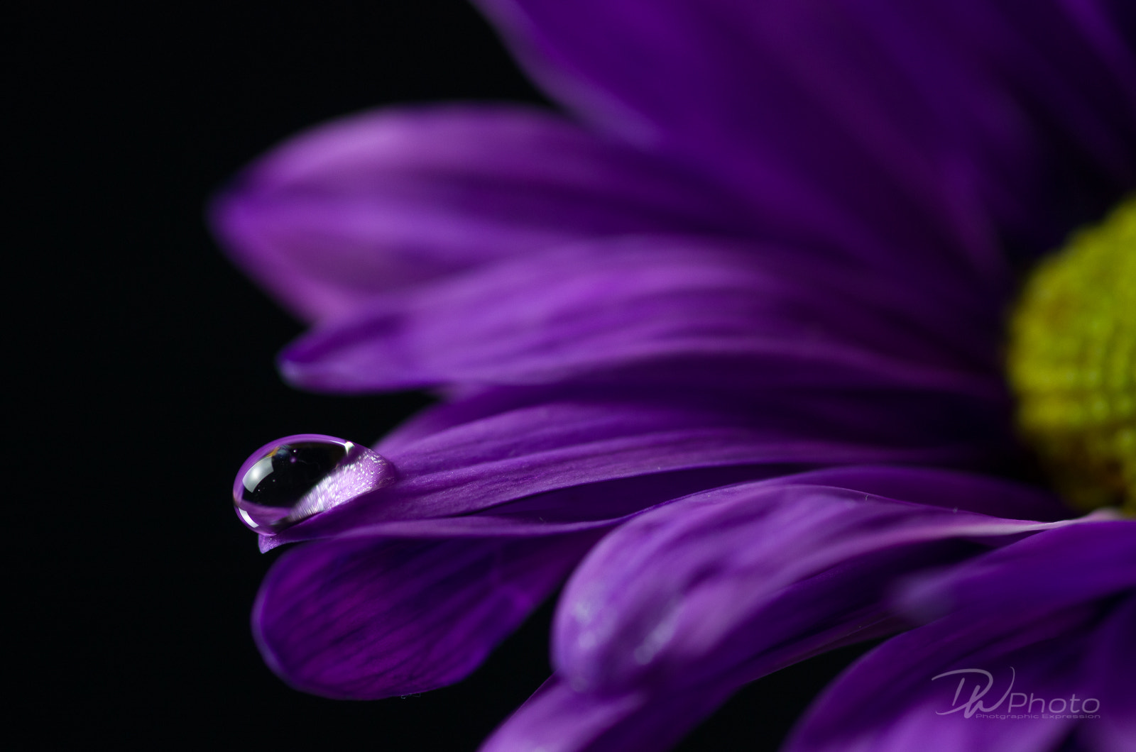 Pentax smc D-FA 100mm F2.8 Macro WR sample photo. Drop photography