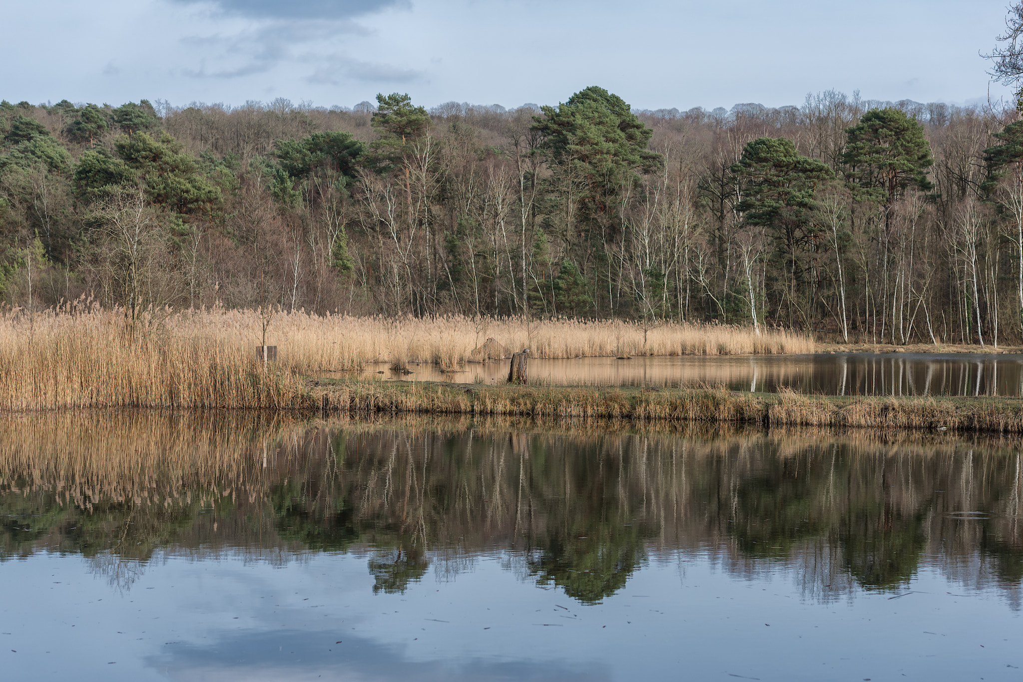 Nikon AF-S Nikkor 70-200mm F2.8G ED VR II sample photo. Lake photography