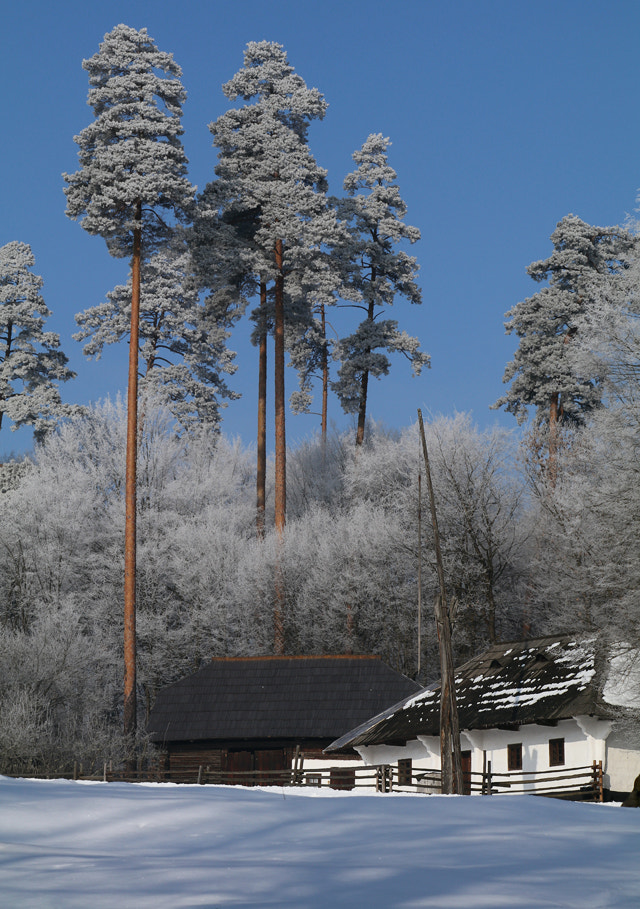 Canon EF 70-300mm F4-5.6L IS USM sample photo. Winter edge photography