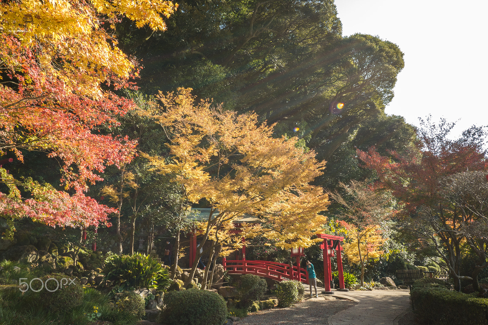 Panasonic Lumix DMC-G6 sample photo. Trip in kyushu photography