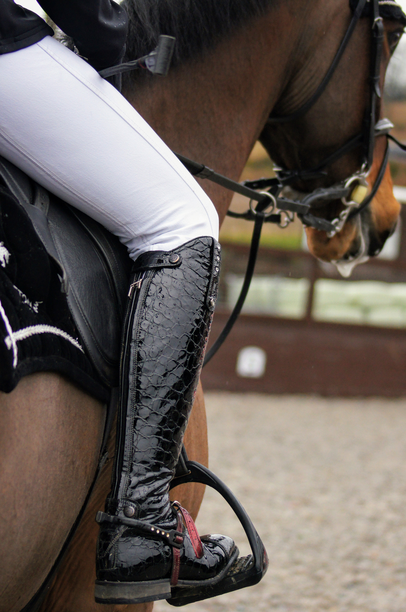 Sony 75-300mm F4.5-5.6 sample photo. Pretty boots photography