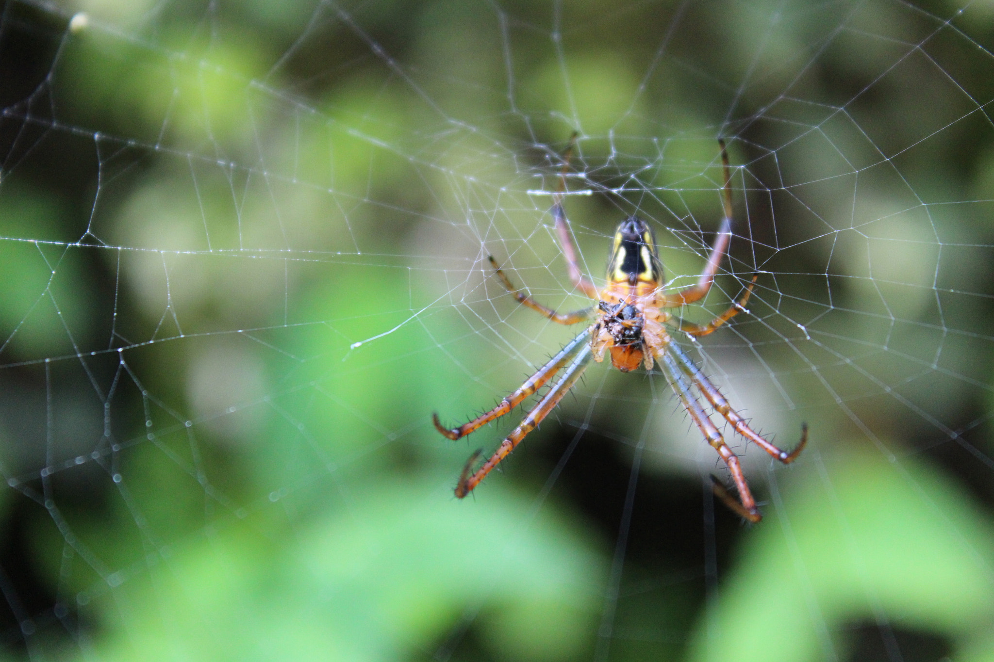 Canon EOS 700D (EOS Rebel T5i / EOS Kiss X7i) sample photo. Minimalism ! photography